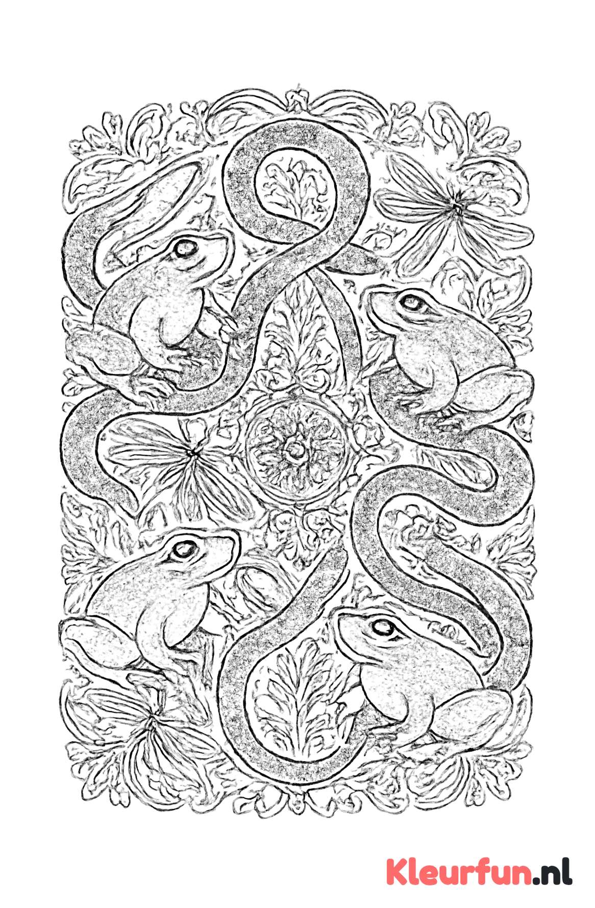 Amfibieën en Insecten Mandala