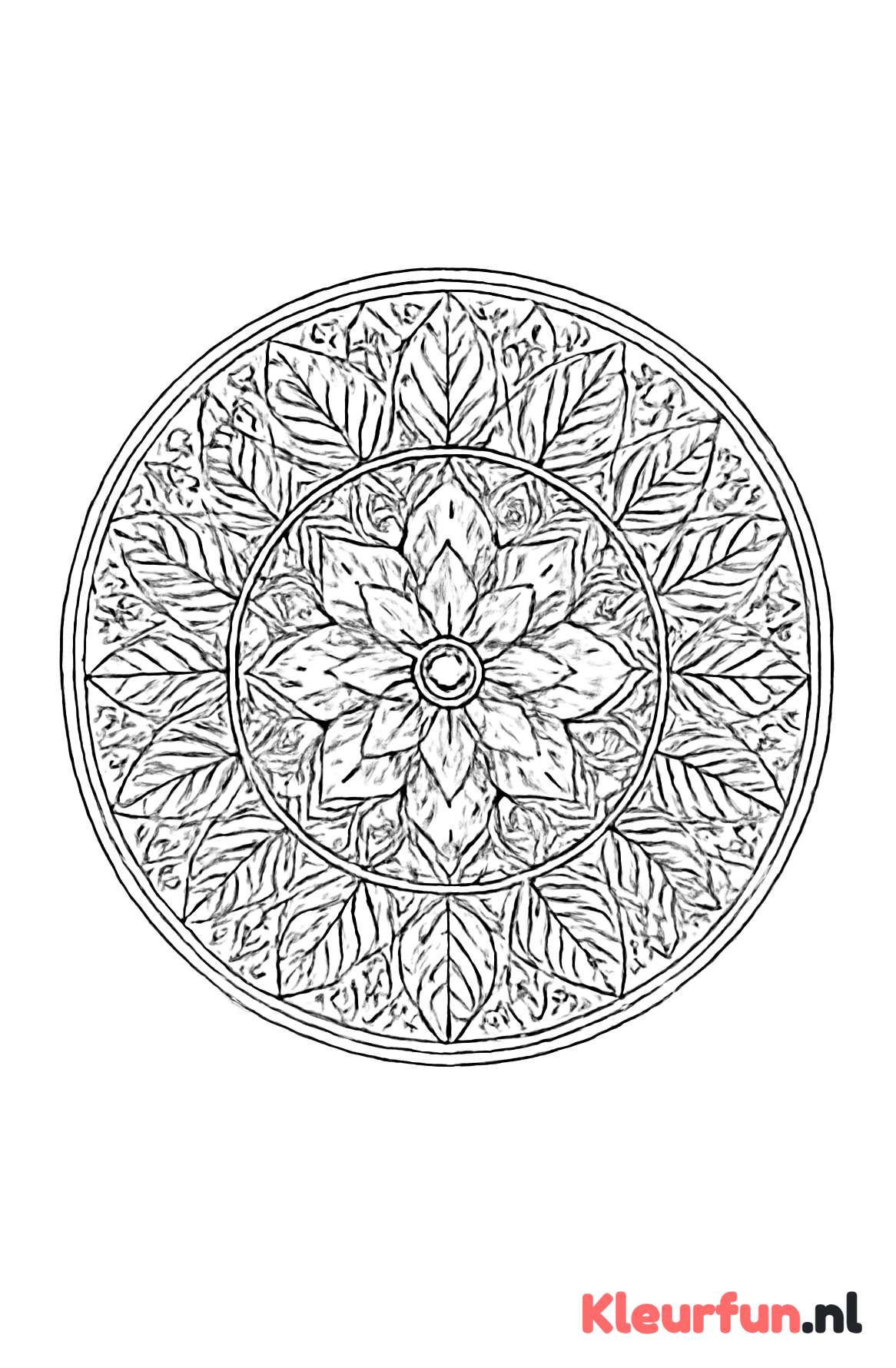 Bladeren en Bloemen Mandala