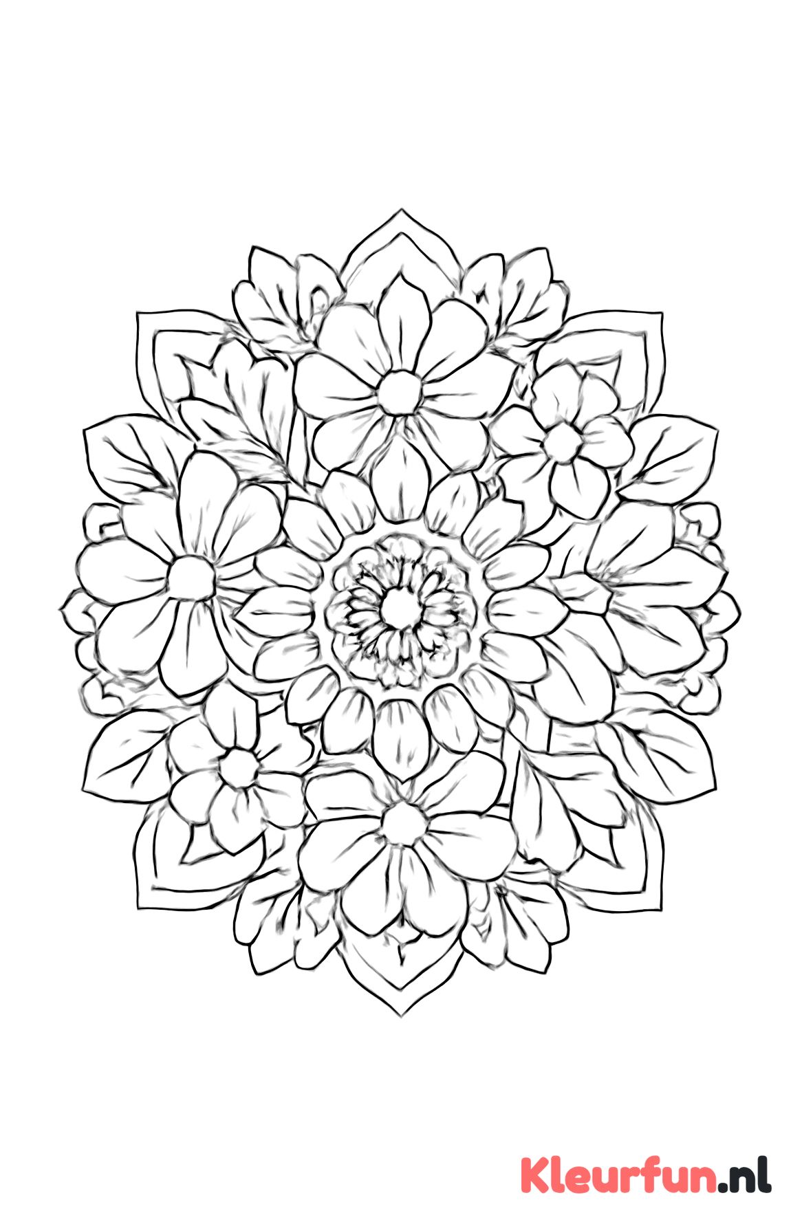 Gestileerde Symmetrische Bloemen Mandala