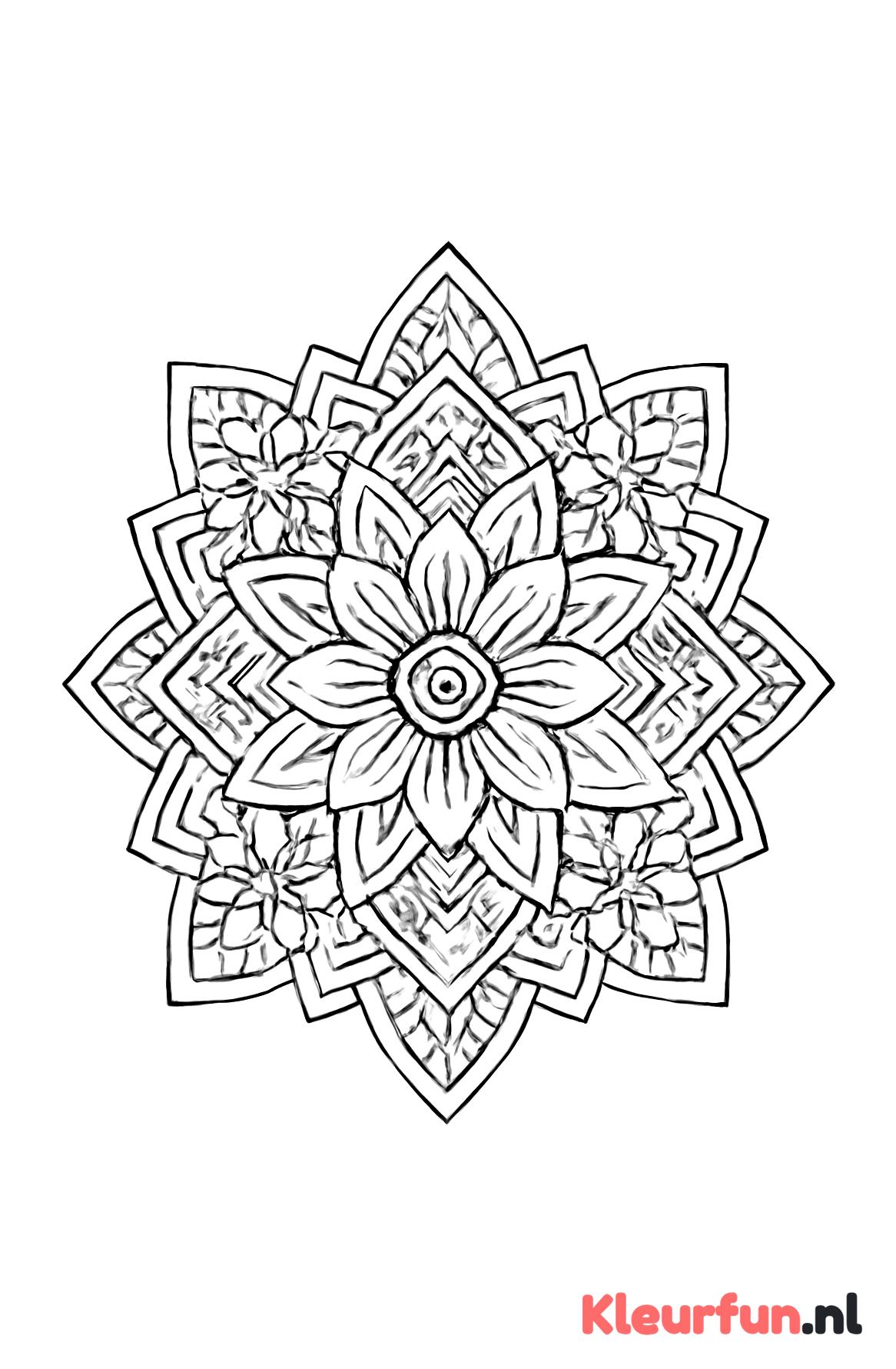 Bloemmotieven en geometrie mandala