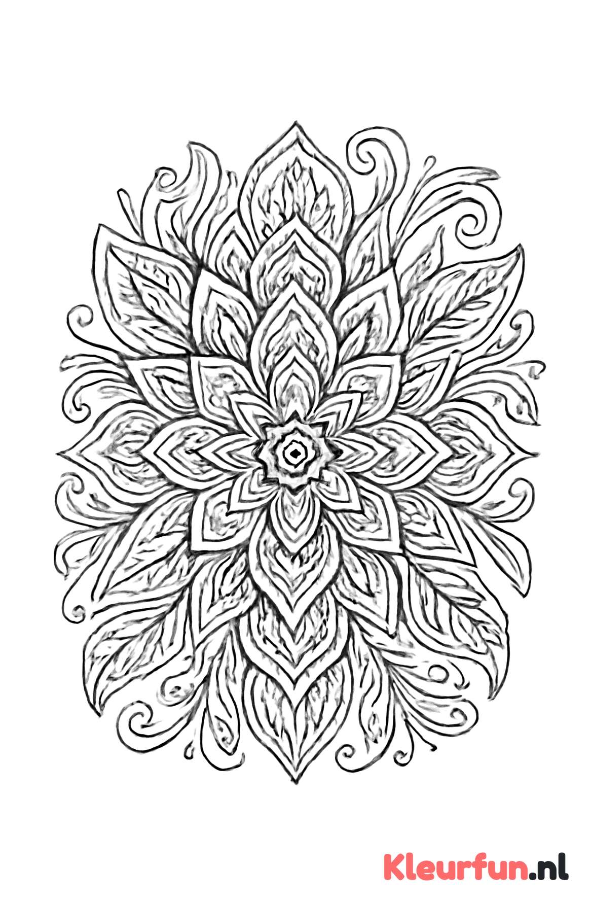 Bohemian Mandala