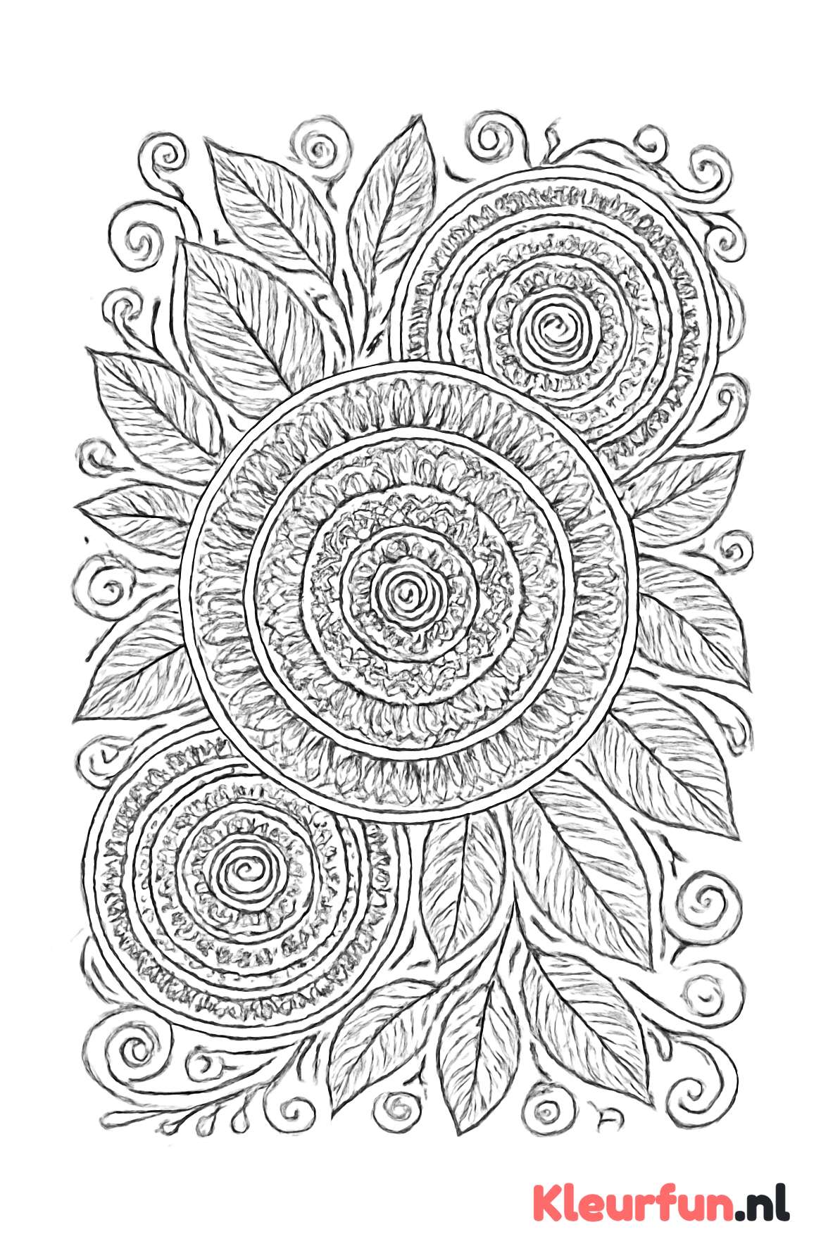 Cirkel, Blad en Kronkel Mandala