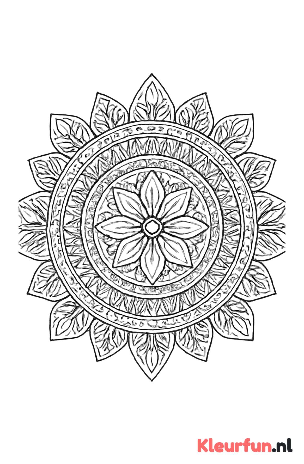 Mandala met cirkels, driehoeken en bloemen