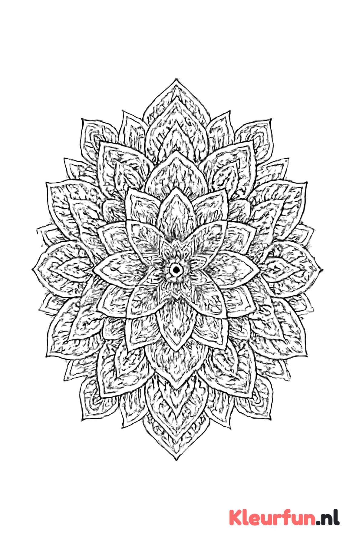 Complexe bloemen mandala