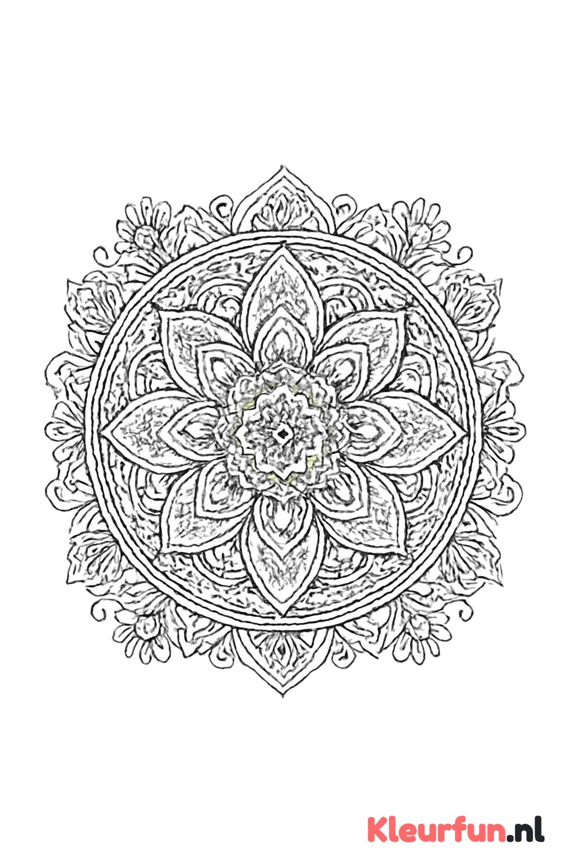 Complexe mandala met geometrische en bloemmotieven