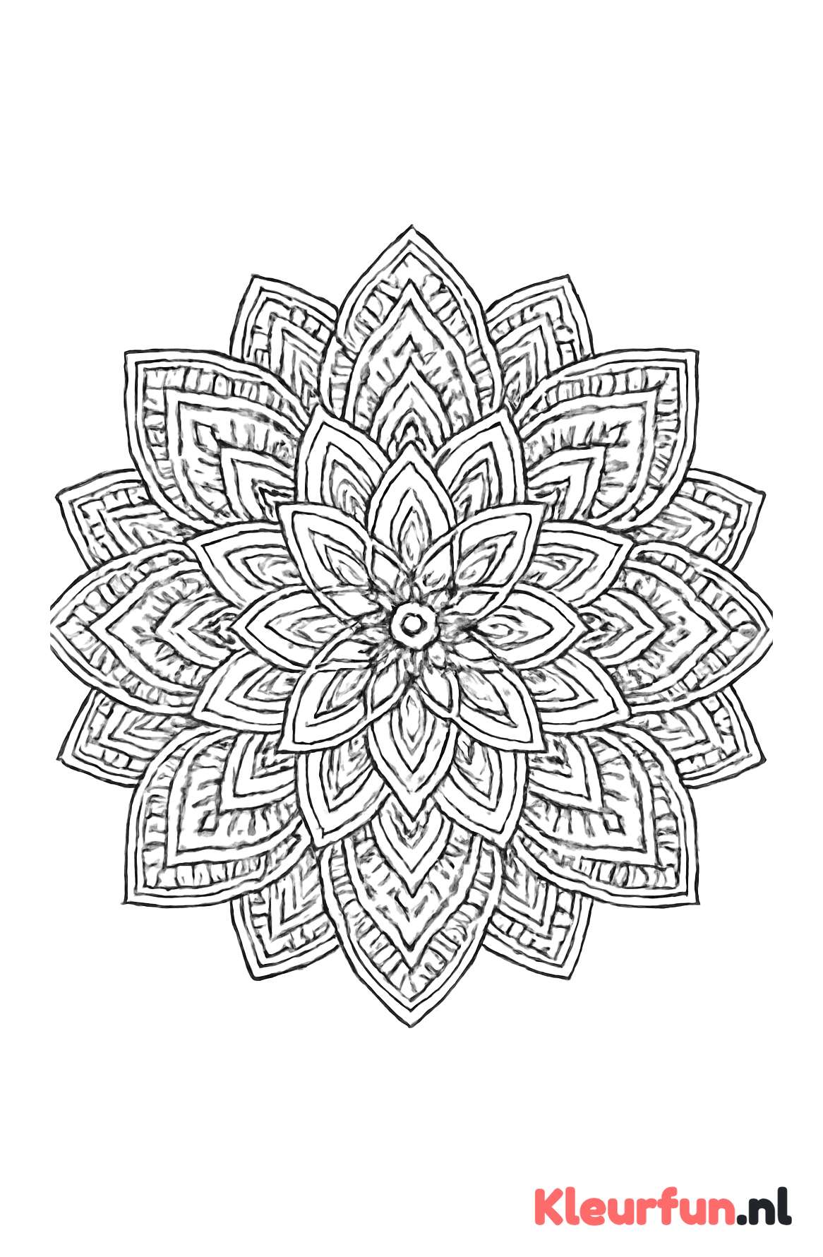 Symmetrische Mandala met Geometrische Patronen
