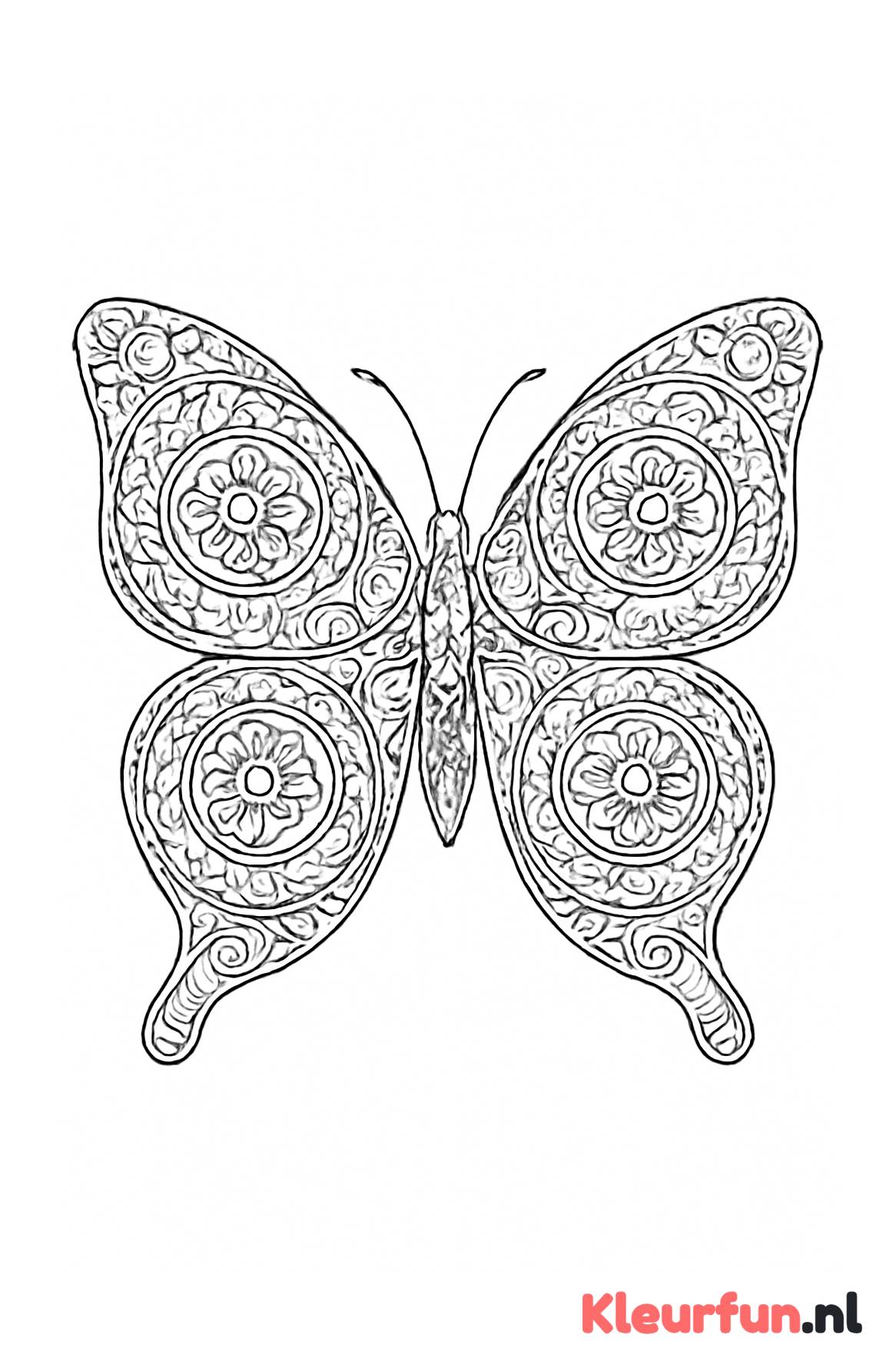 Complexe vlinder mandala met verschillende secties