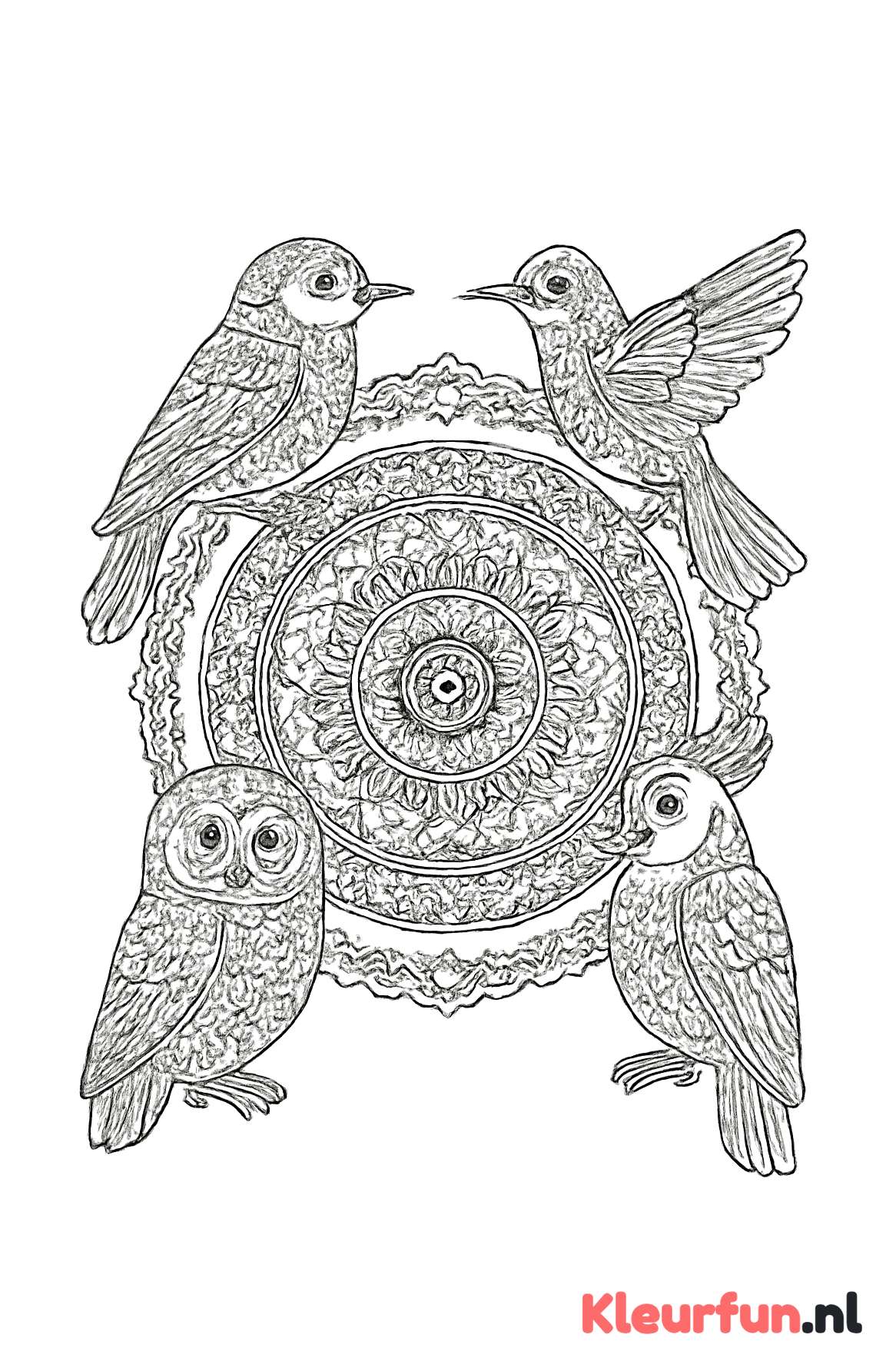 Sierlijke vogelmandala met symmetrisch patroon