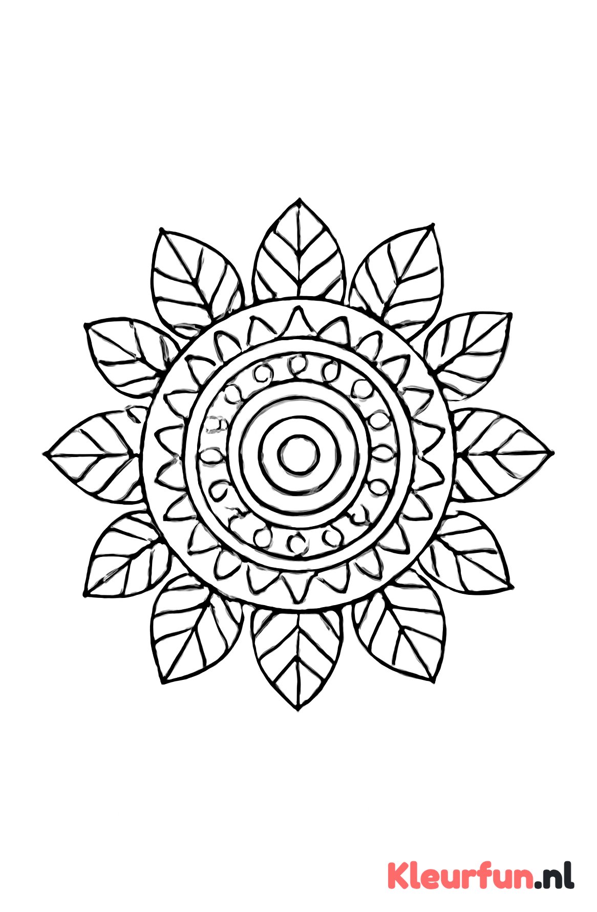 Gedetailleerde mandala met bladeren en lijnen