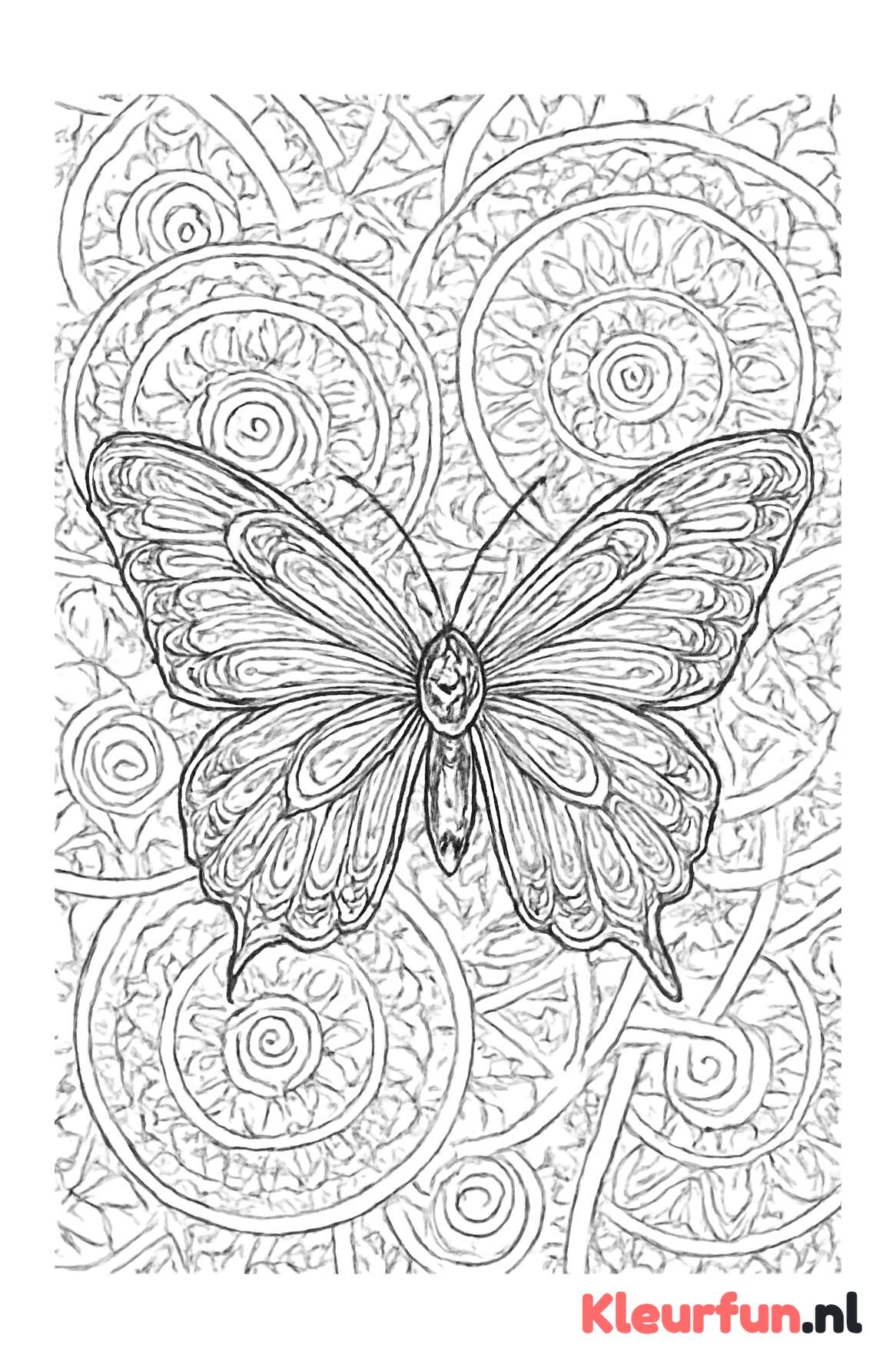 Gedetailleerde vlinder mandala in cirkels
