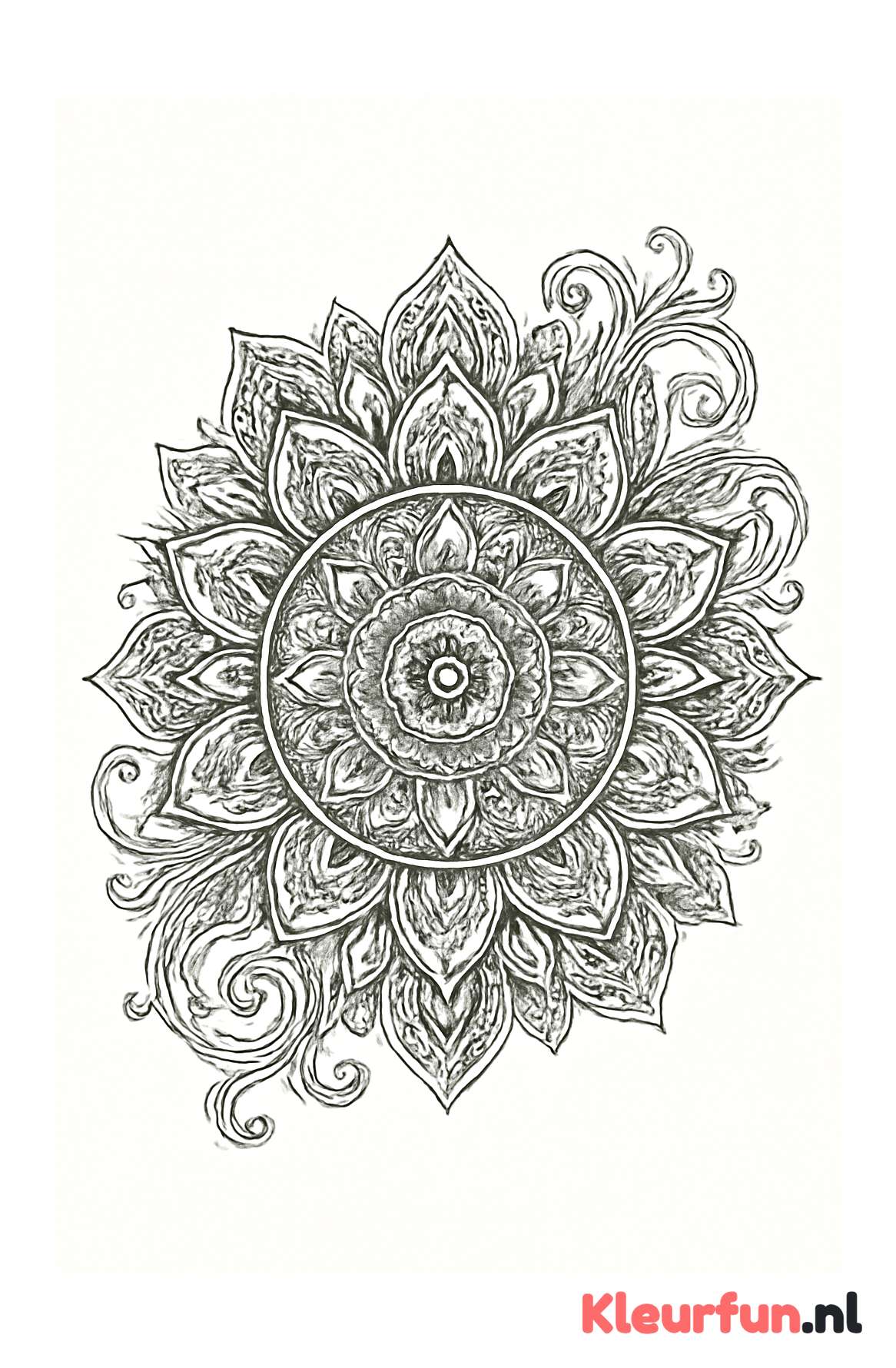 Geometrisch en Organisch Mandala