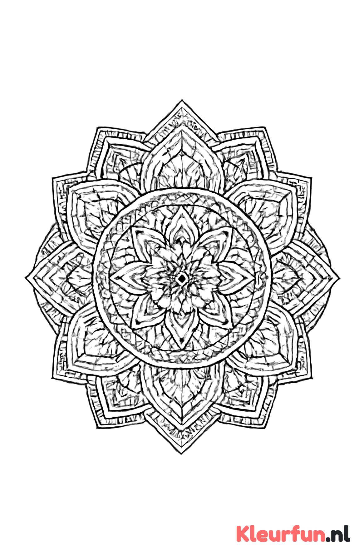 Geometrische bloemen mandala