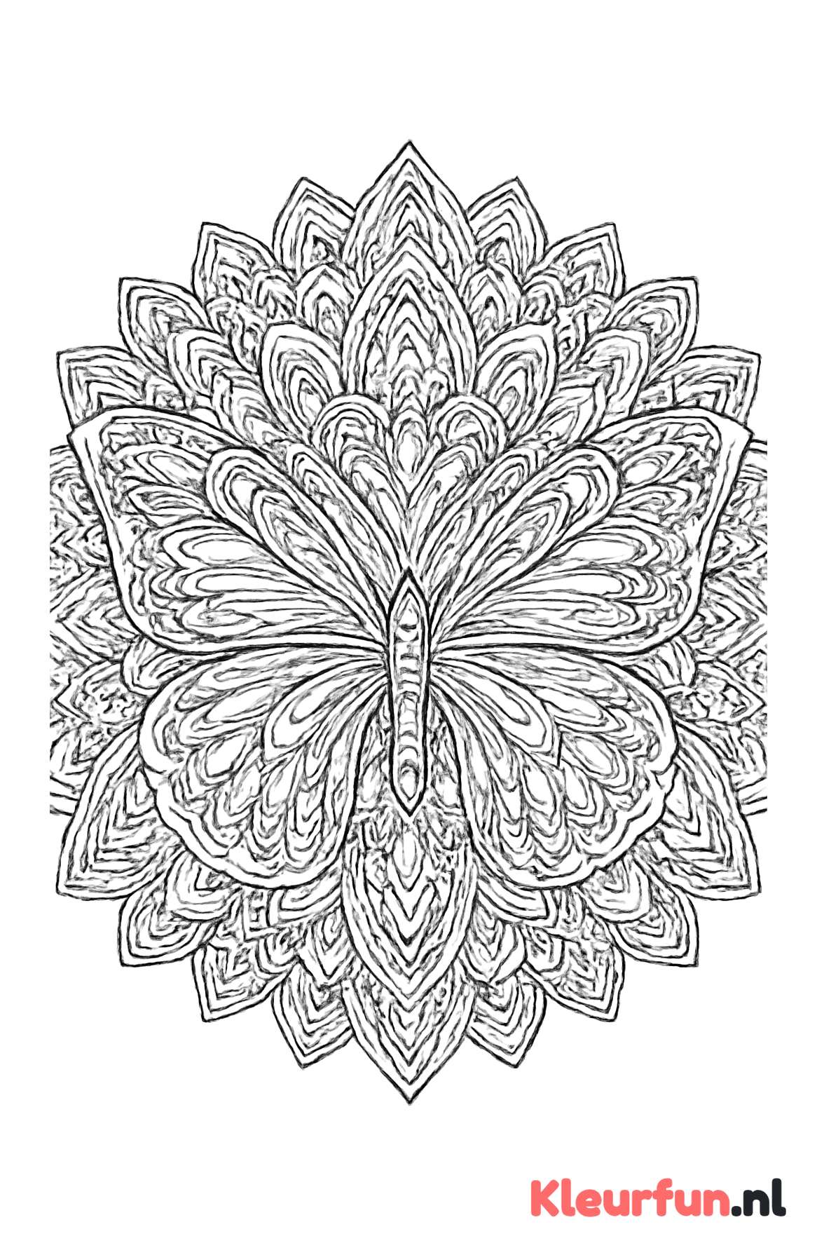 Grote vlinder mandala met symmetrische patronen