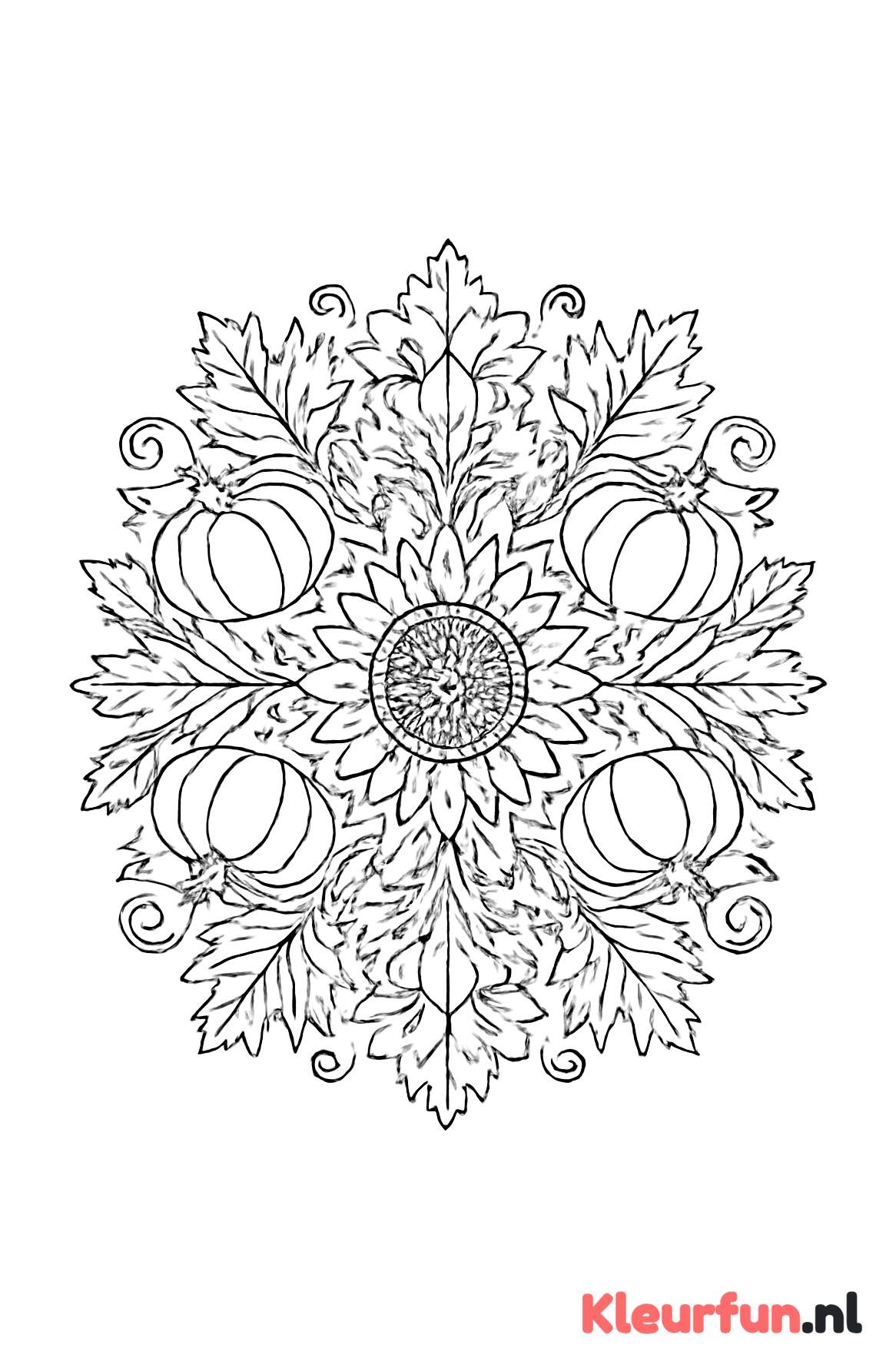 Herfst mandala met pompoenen en zonnebloemen