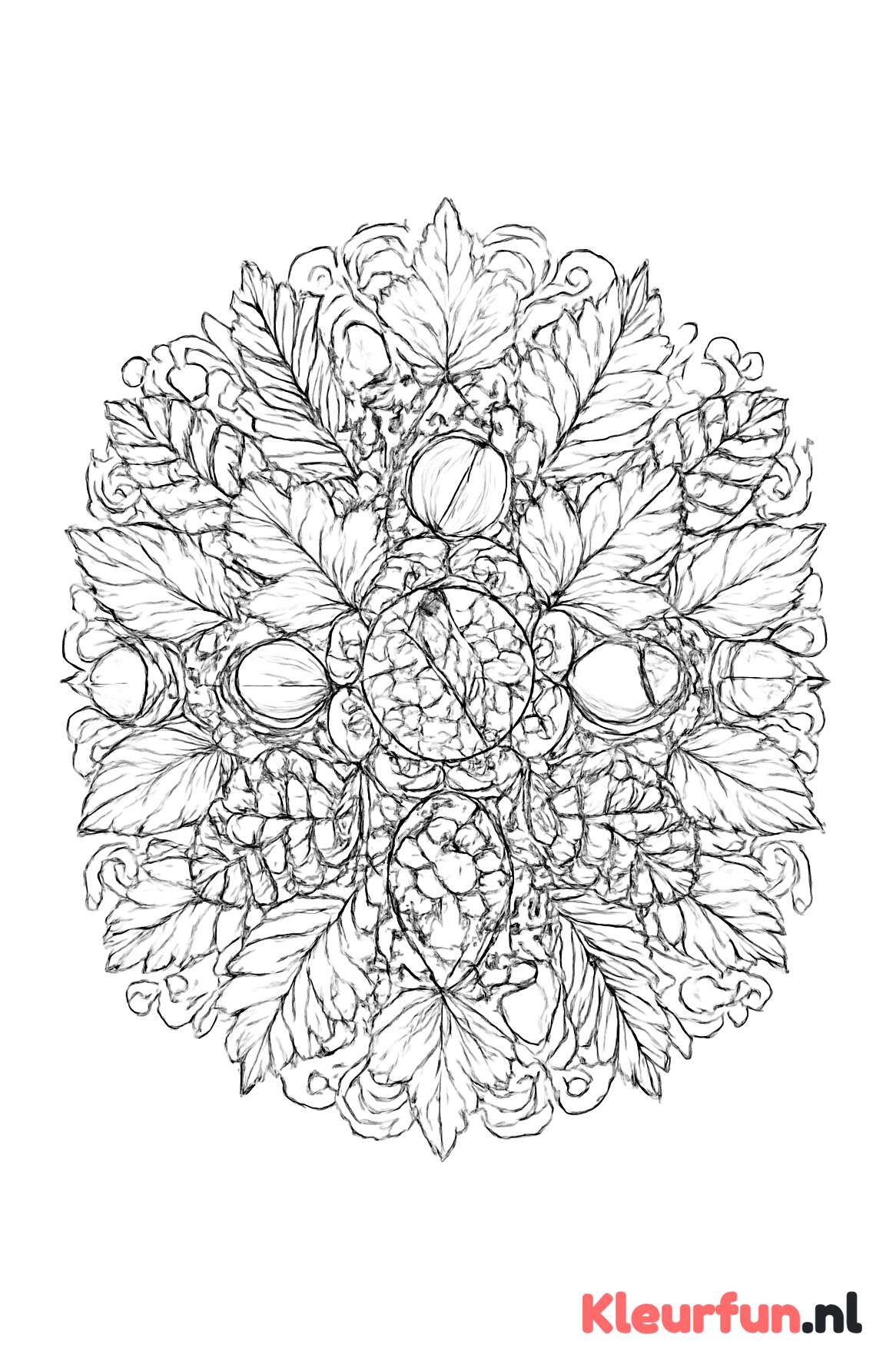 Herfst mandala met herfstvruchten en bladeren