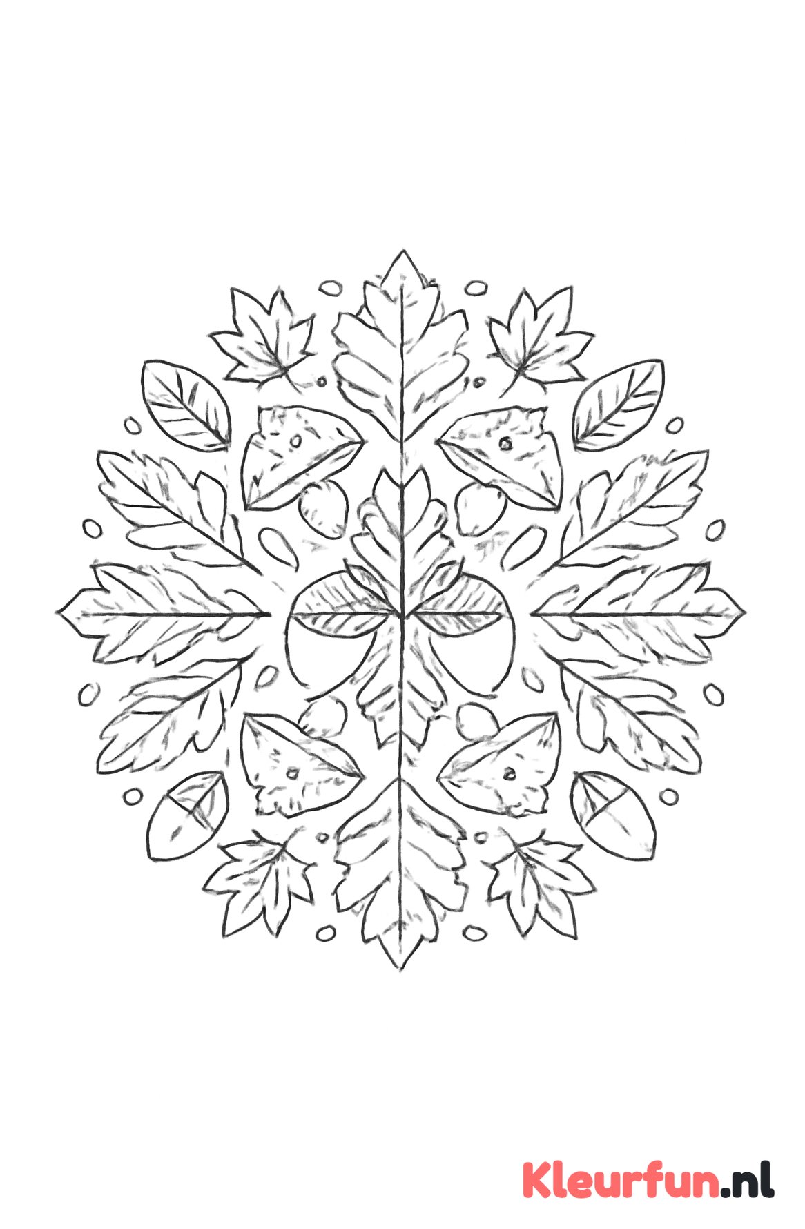 Herfstmandala met bladeren en eikels