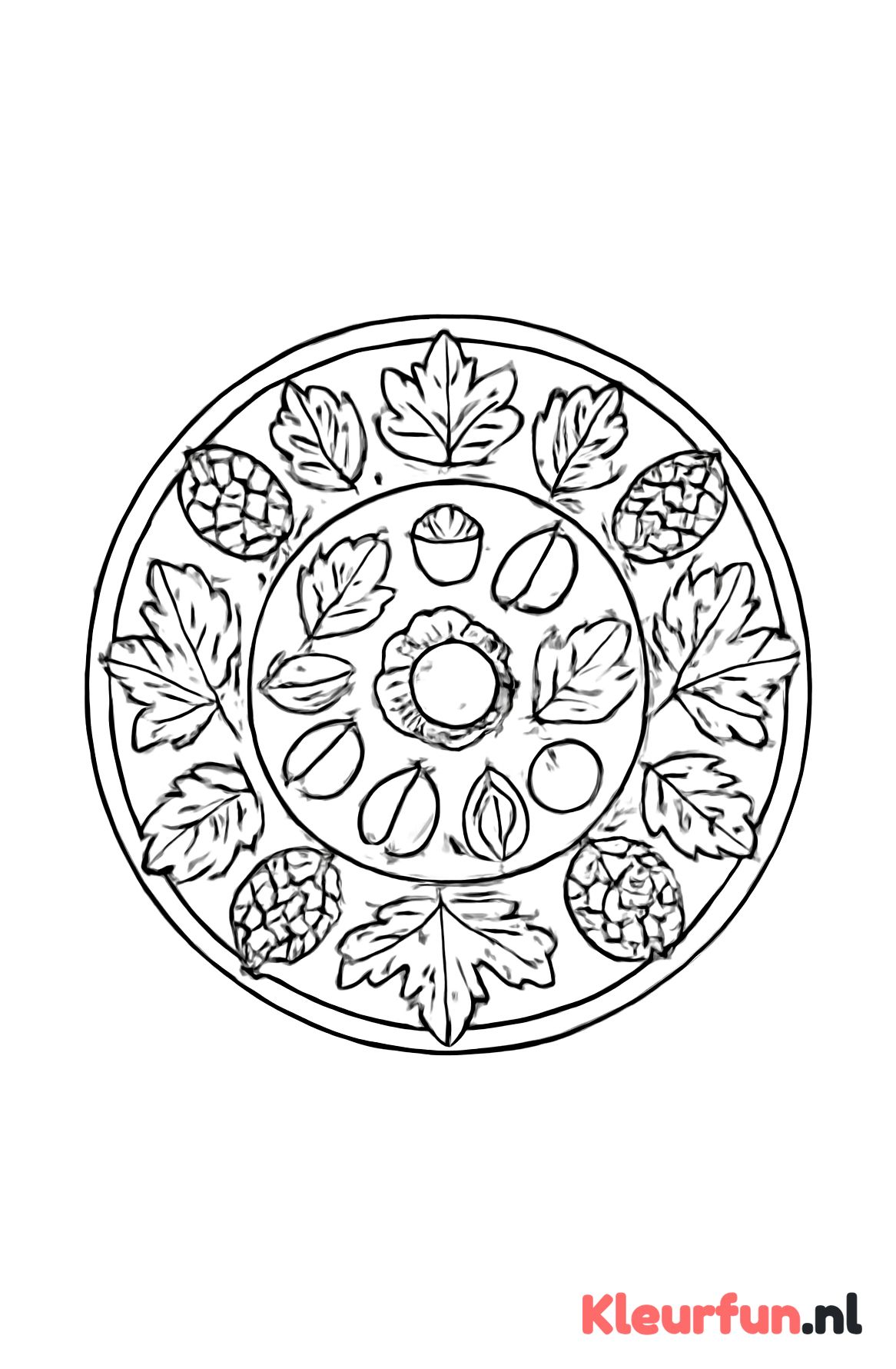 Herfstmandala met dennenappels en kastanjes