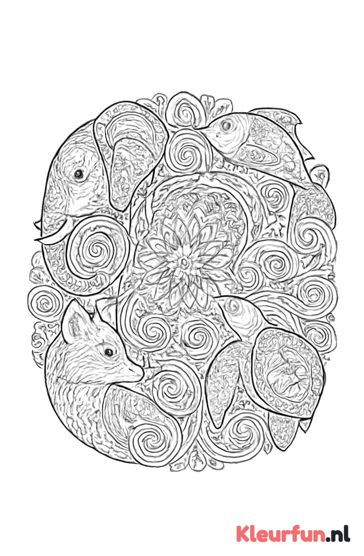 Land en Water Dieren Mandala