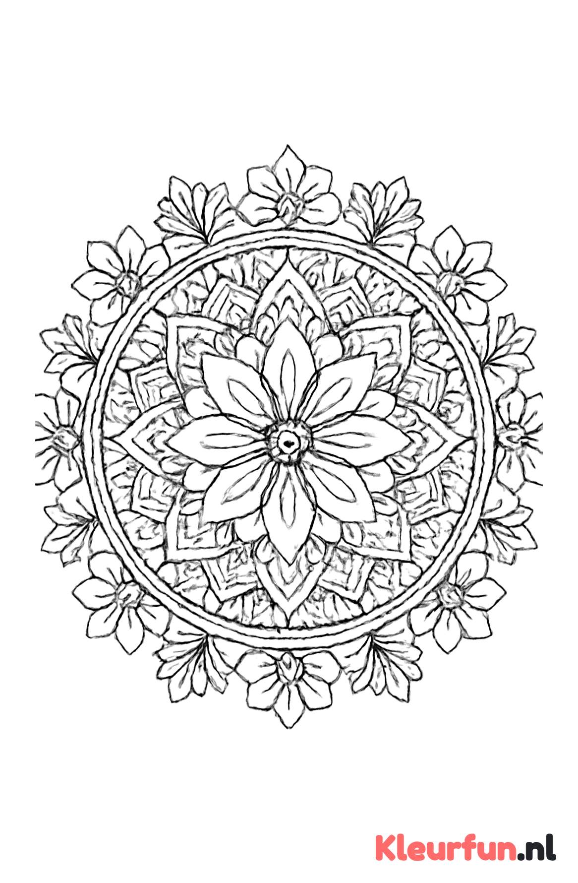 Mandala met bloemmotieven en geometrische figuren