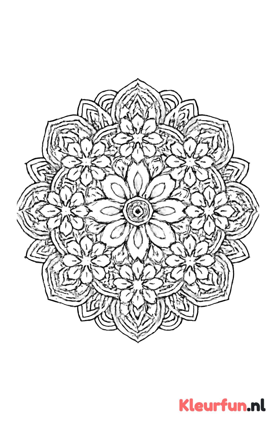 Bloemenmandala met Fijne Details