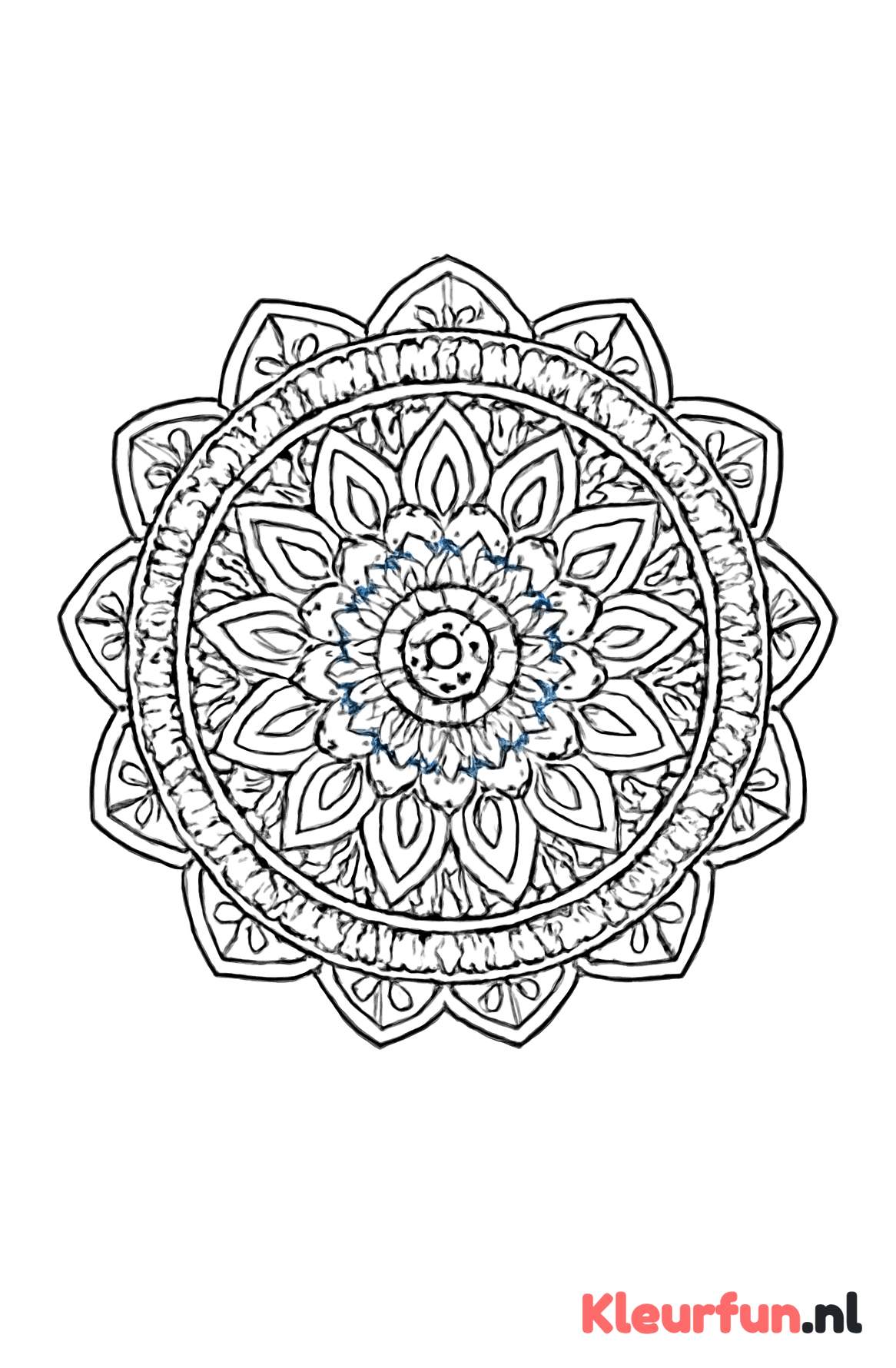 Mandala met cirkels en symmetrische patronen