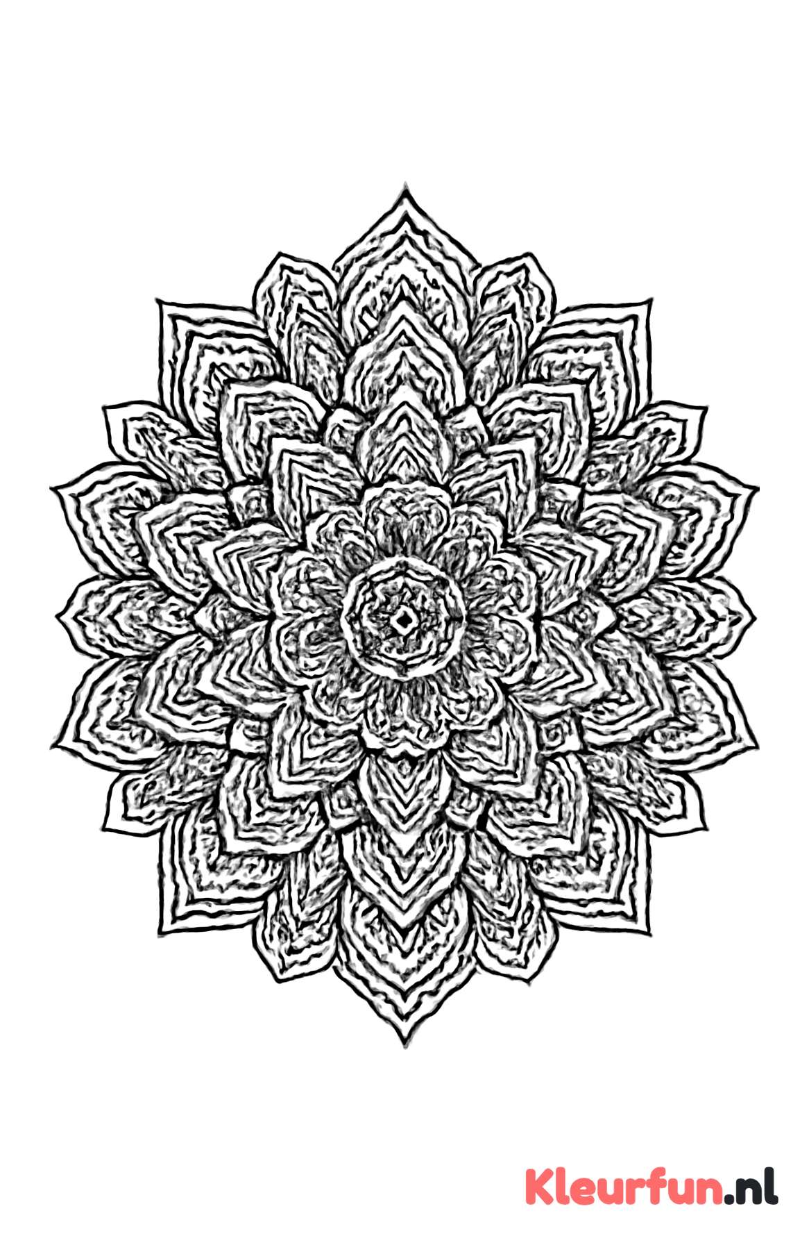 Uitgebreide Mandala met Patronen