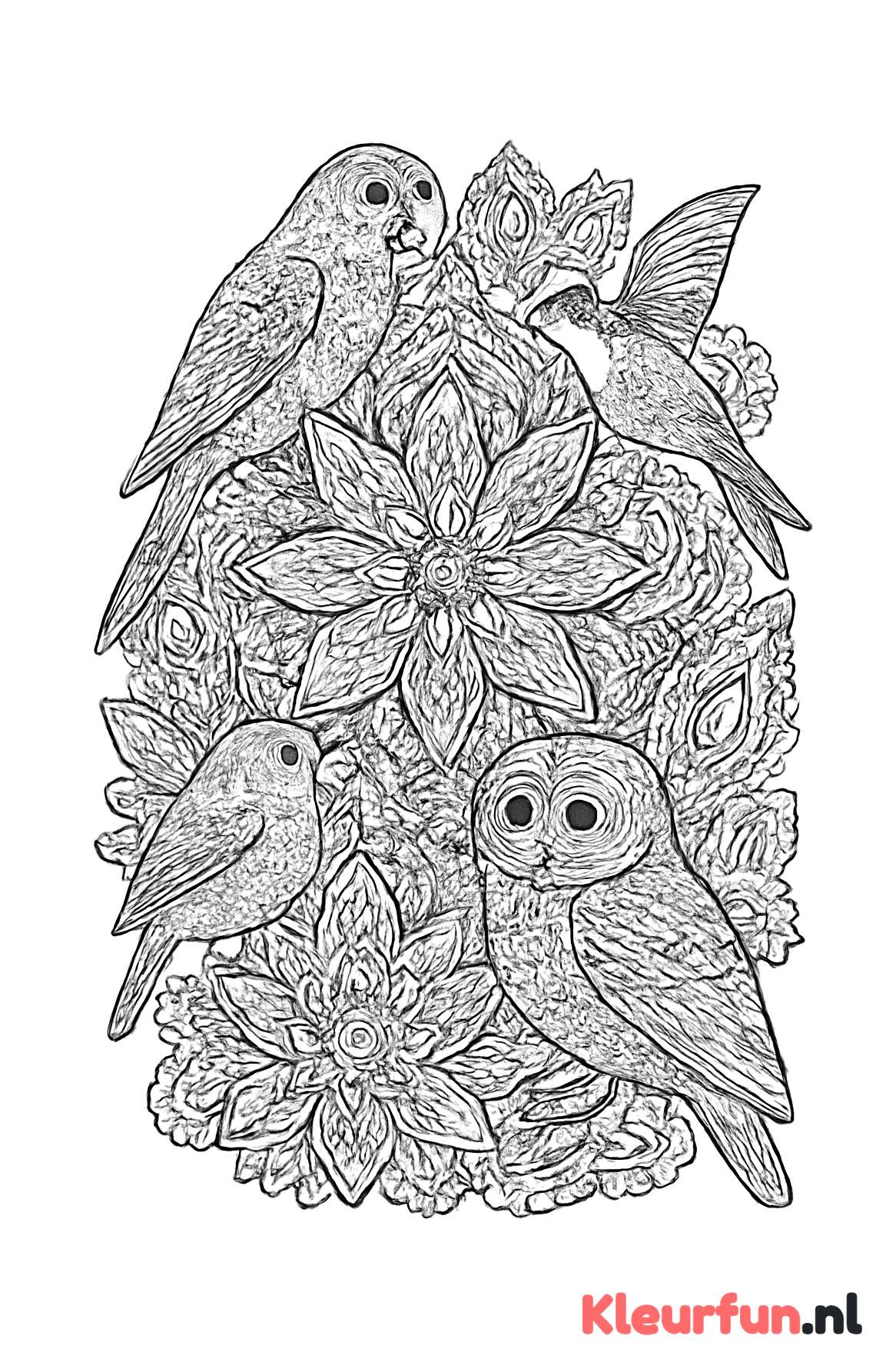 Vogel Mandala Complex
