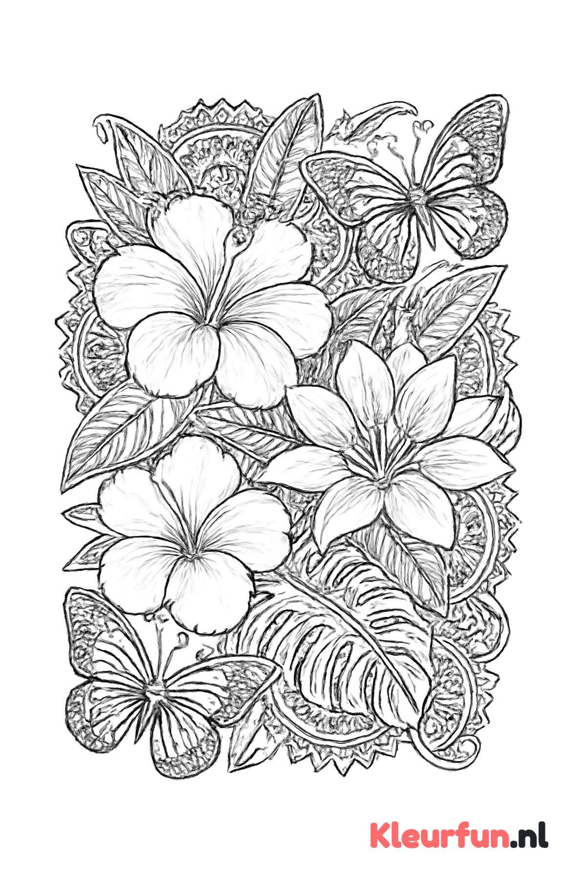Tropische Zomer Mandala met Bloemen en Vlinders