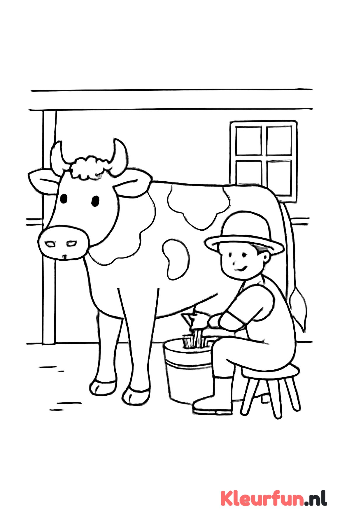 Boer melkt koe