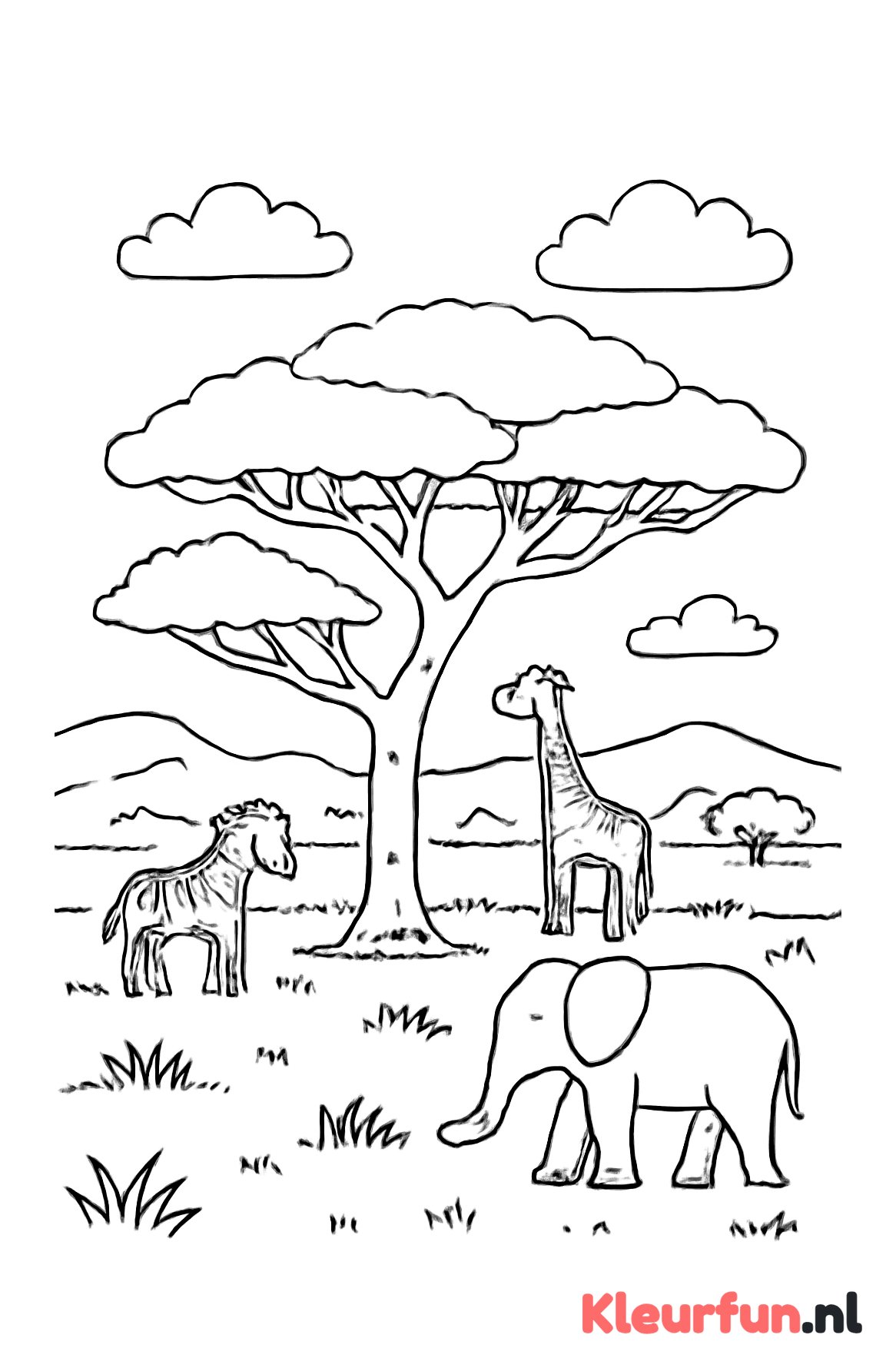 Savanne in Afrika