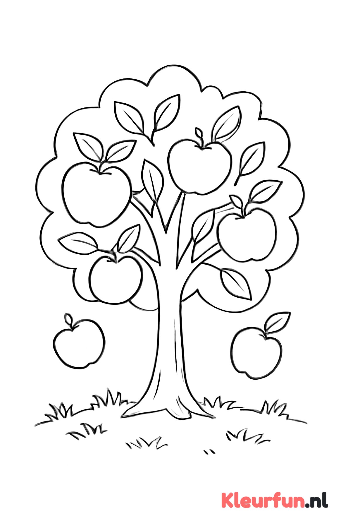 Appelboom met grote appels