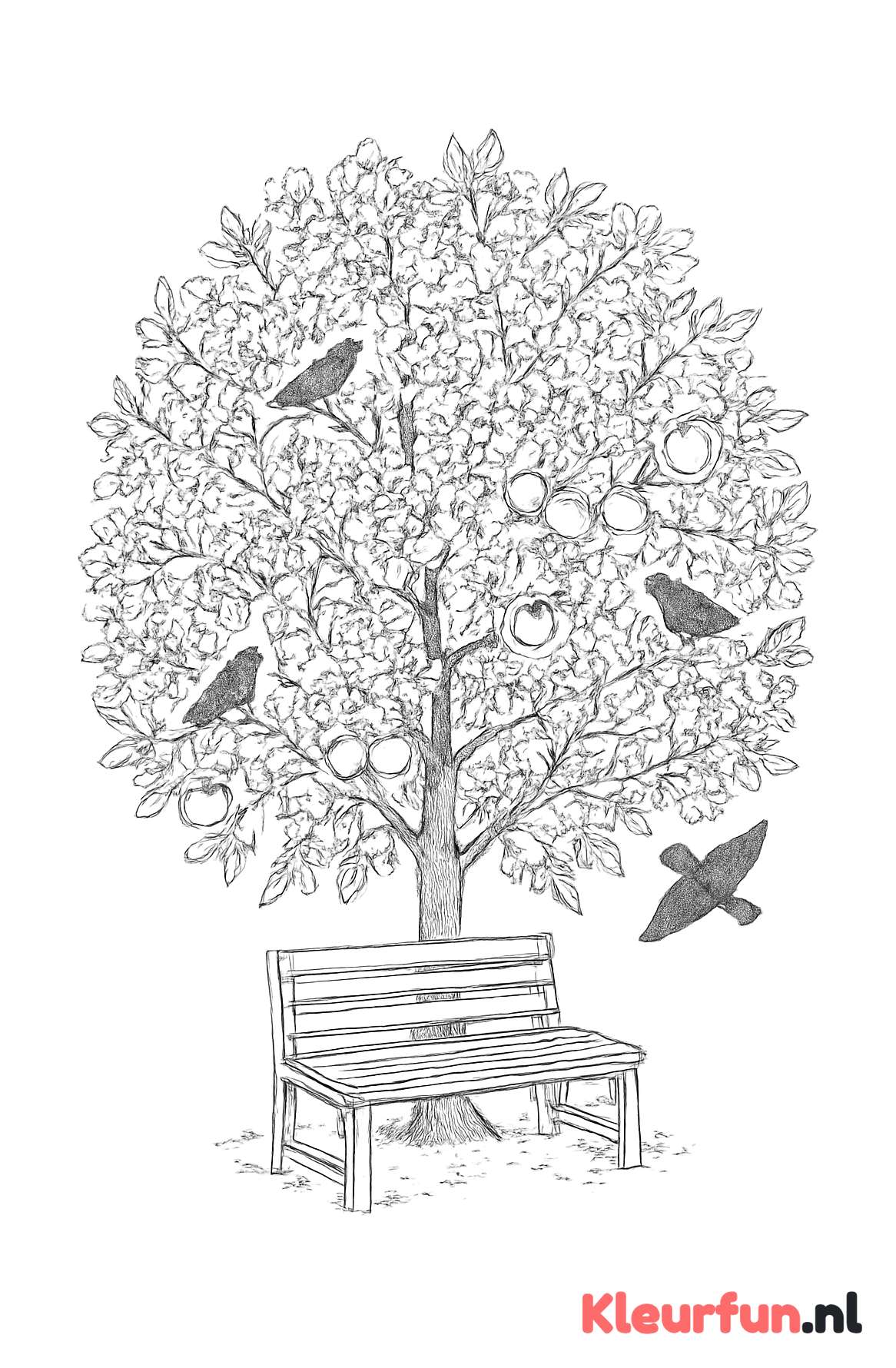 Appelboom in bloei met bankje en vogels