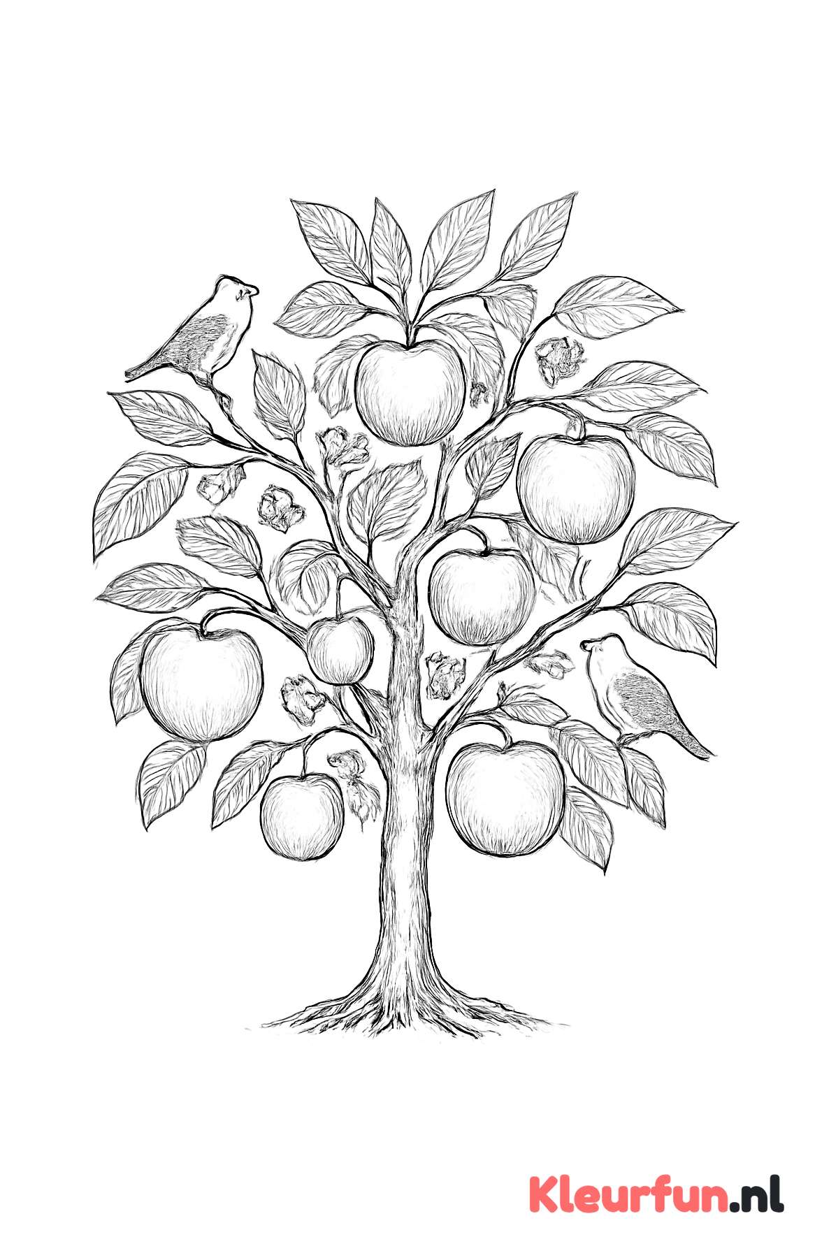 Volwassen appelboom met appels en vogels