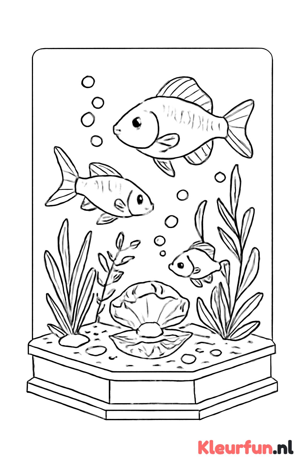 Bubbels en waterplanten in het aquarium