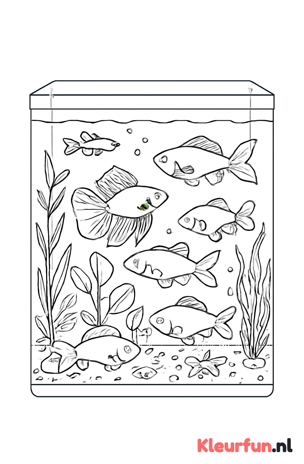 Goudvissen en waterplanten in het aquarium