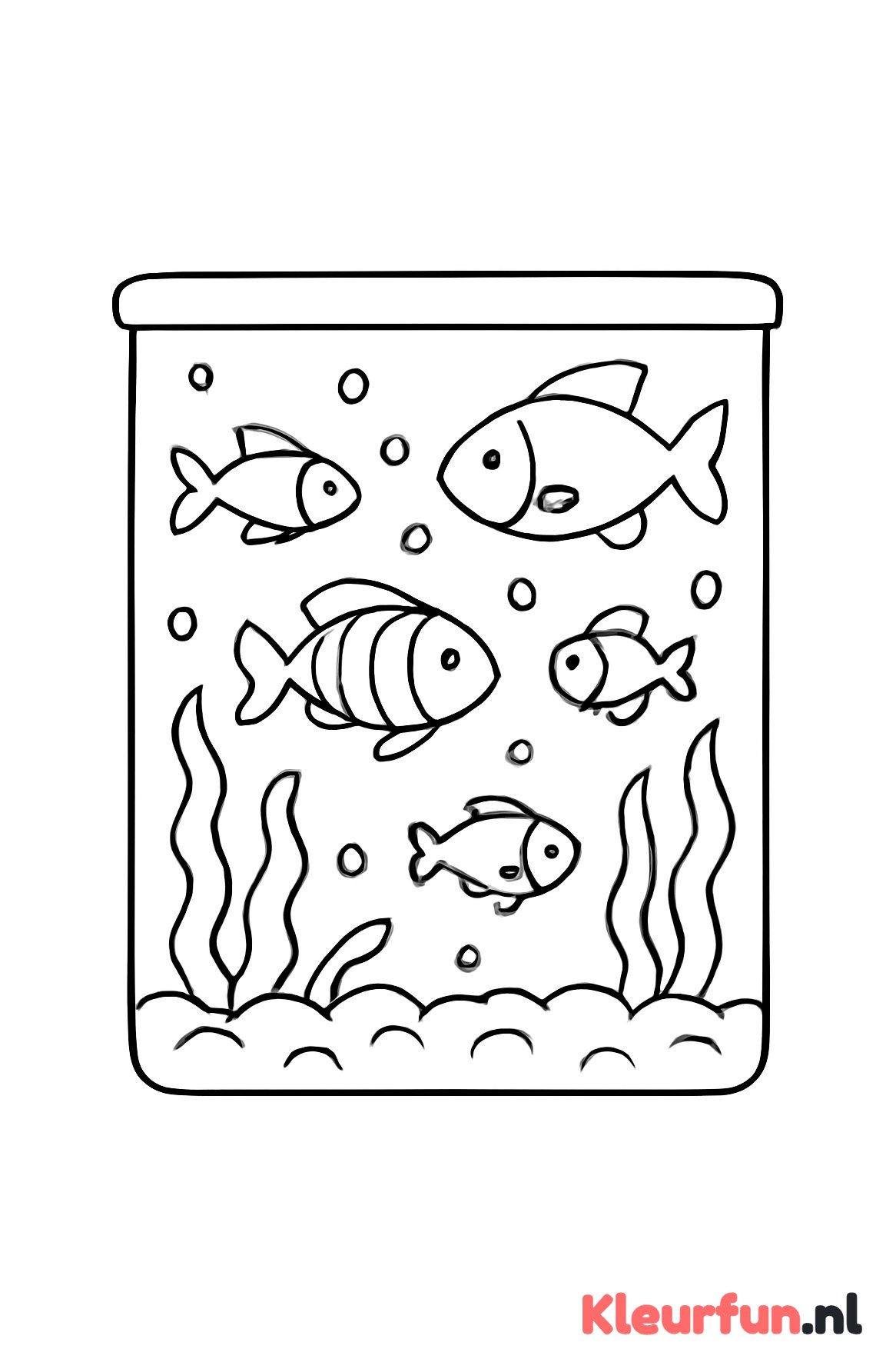 Aquarium met meerdere visjes