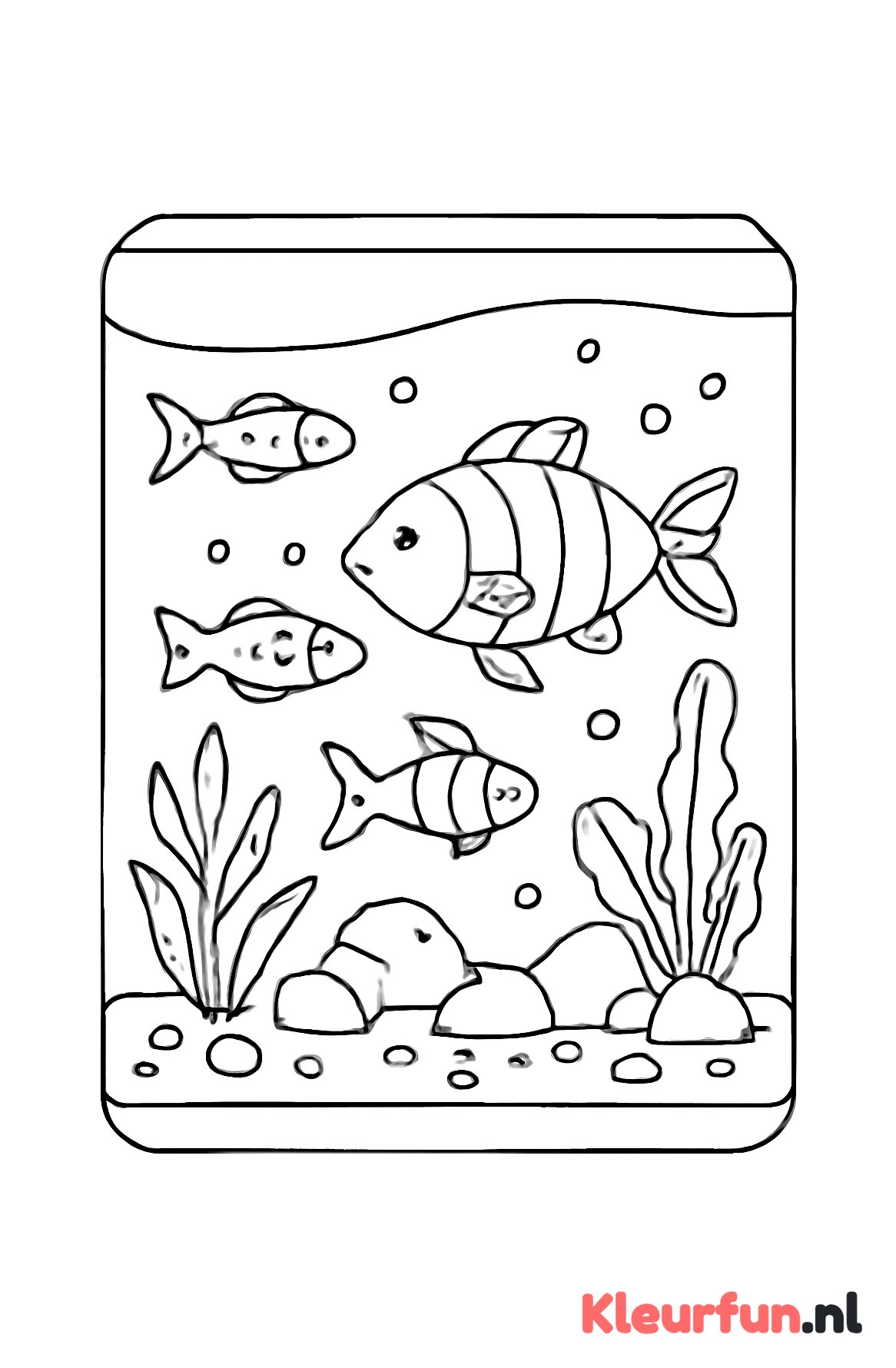Aquarium met vissen