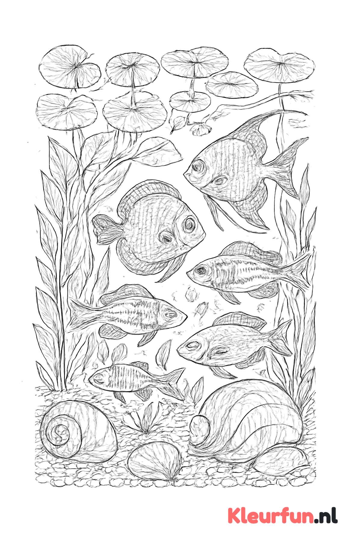 Tropisch en exotisch aquariumlichtspel