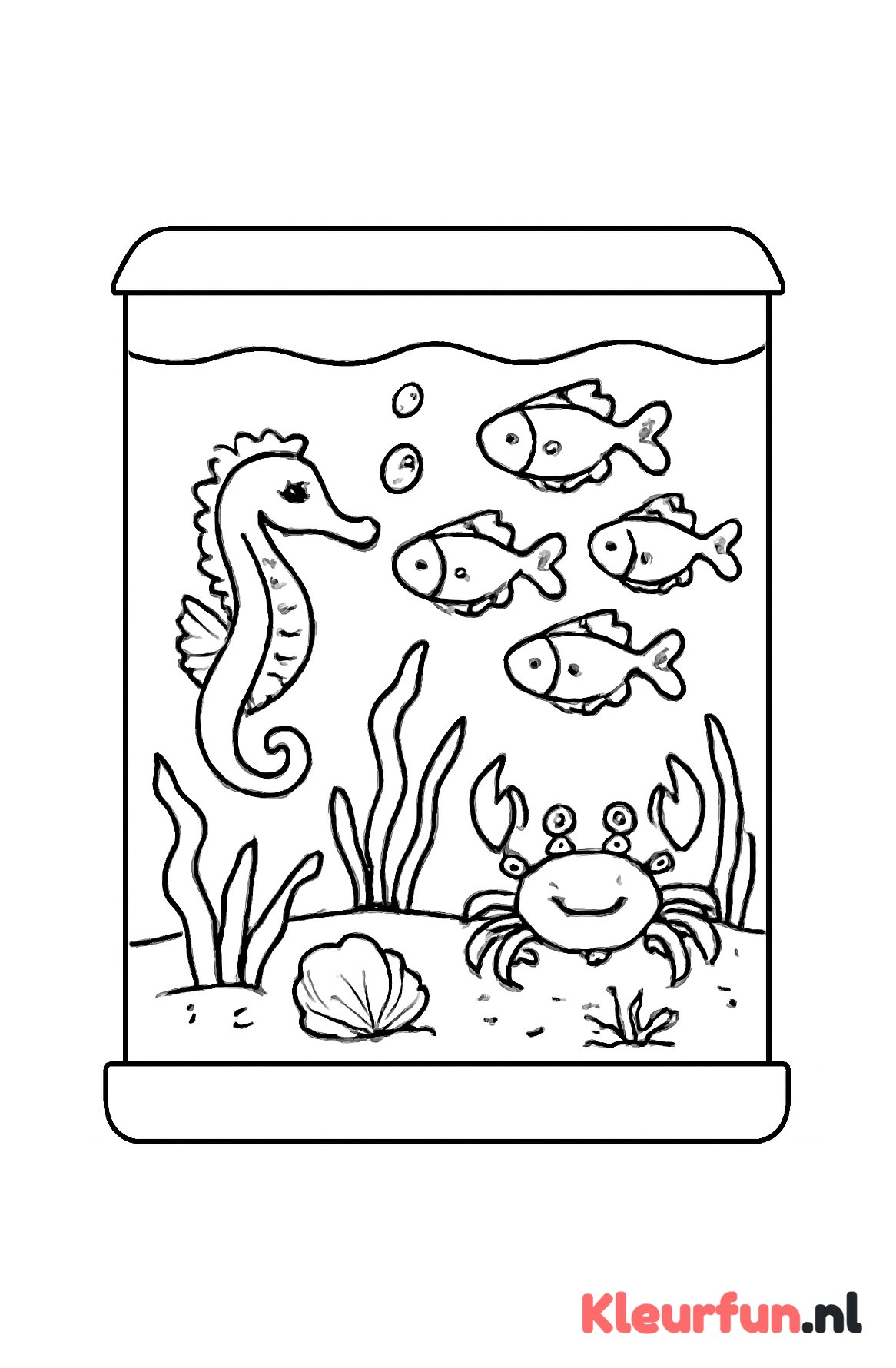 Aquarium met zeedieren