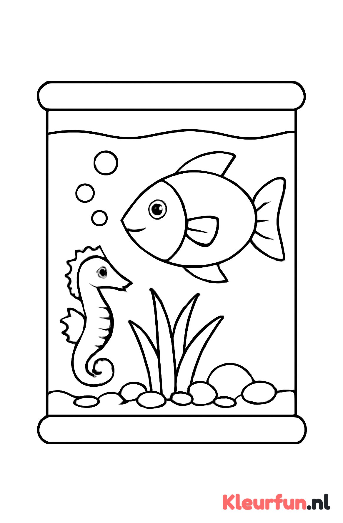 Aquarium met zeepaardje en vis
