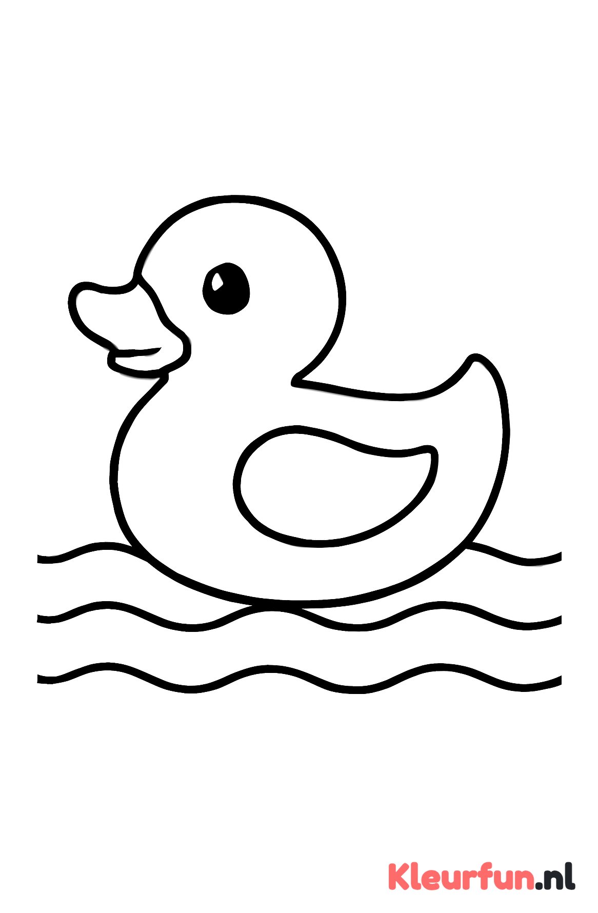Badeend drijvend op water