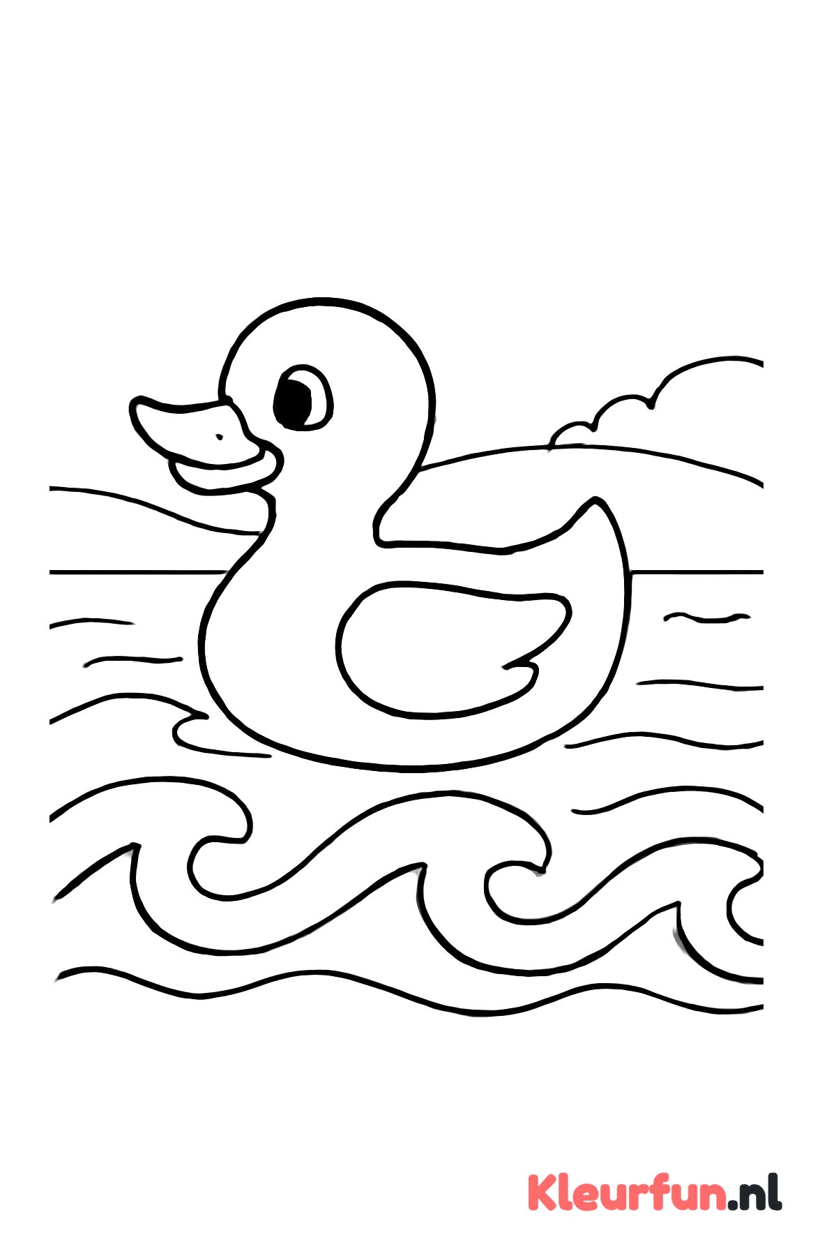 Badeend op vijver