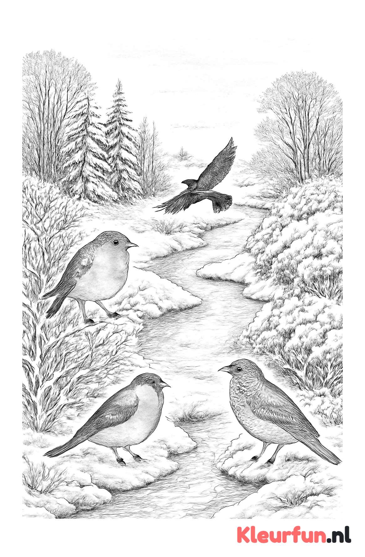 Bevroren Rivier met Wintervogels