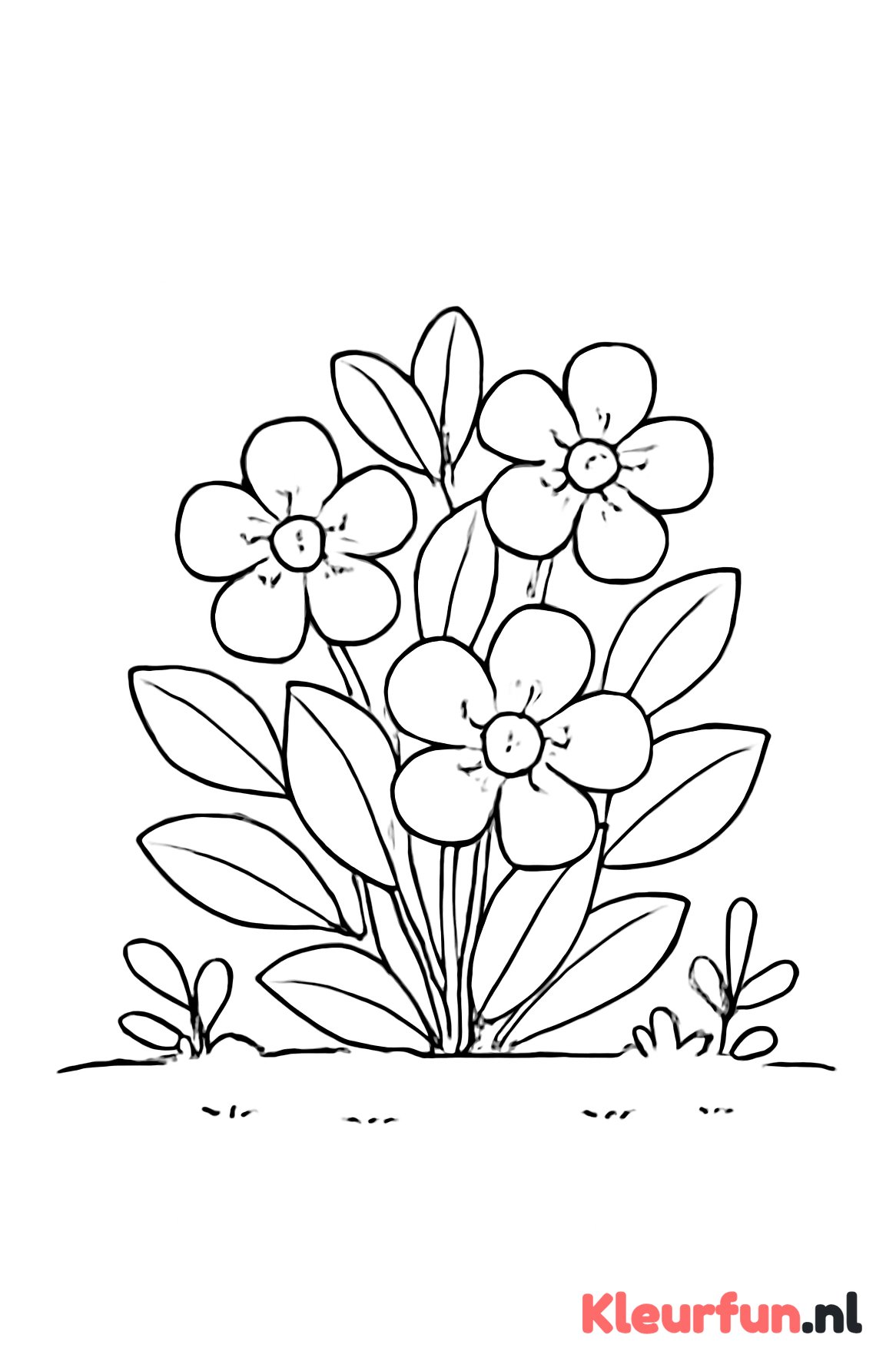 Bloeiende Struik met Planten