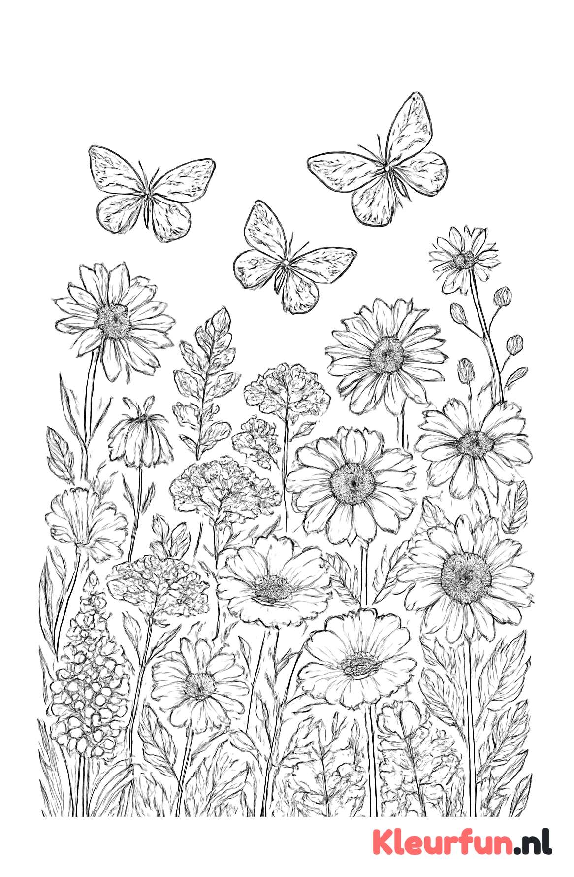 Bloeiende zomerbloemen en vlinders in een veld