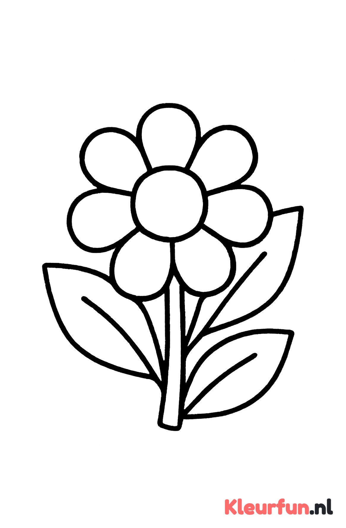Bloem bonnet met grote bladeren