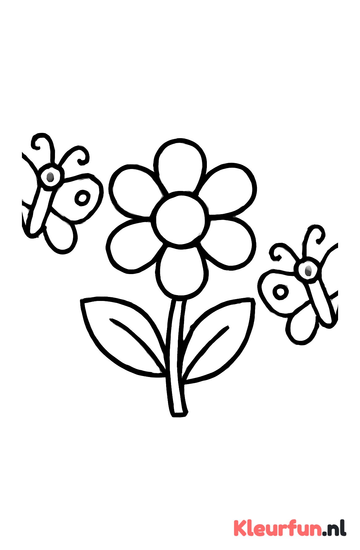 Bloem en twee vlinders