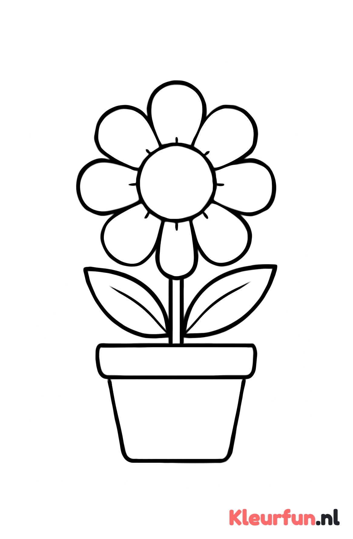 Bloem in pot