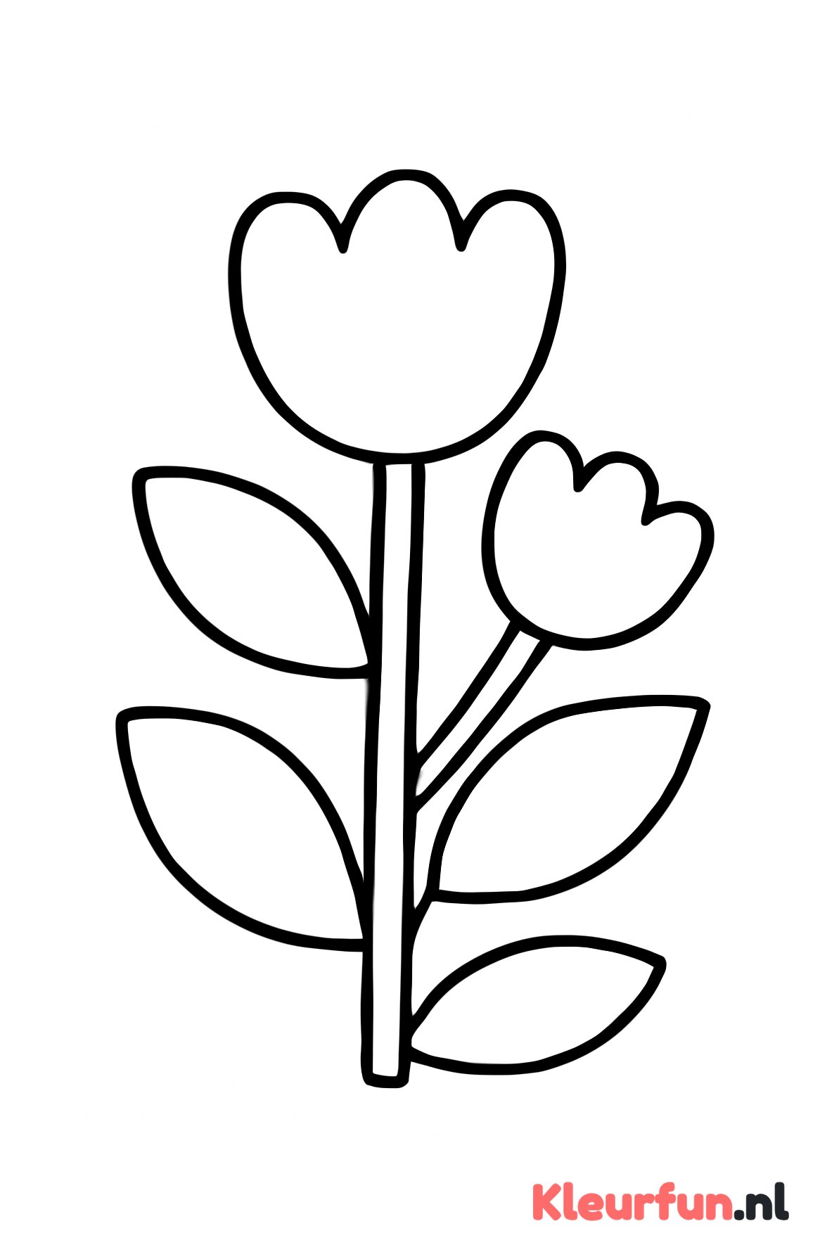 Bloem knoppen en bladeren
