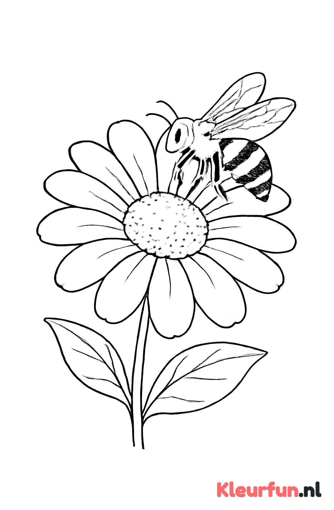Bloem met bij op de bloem